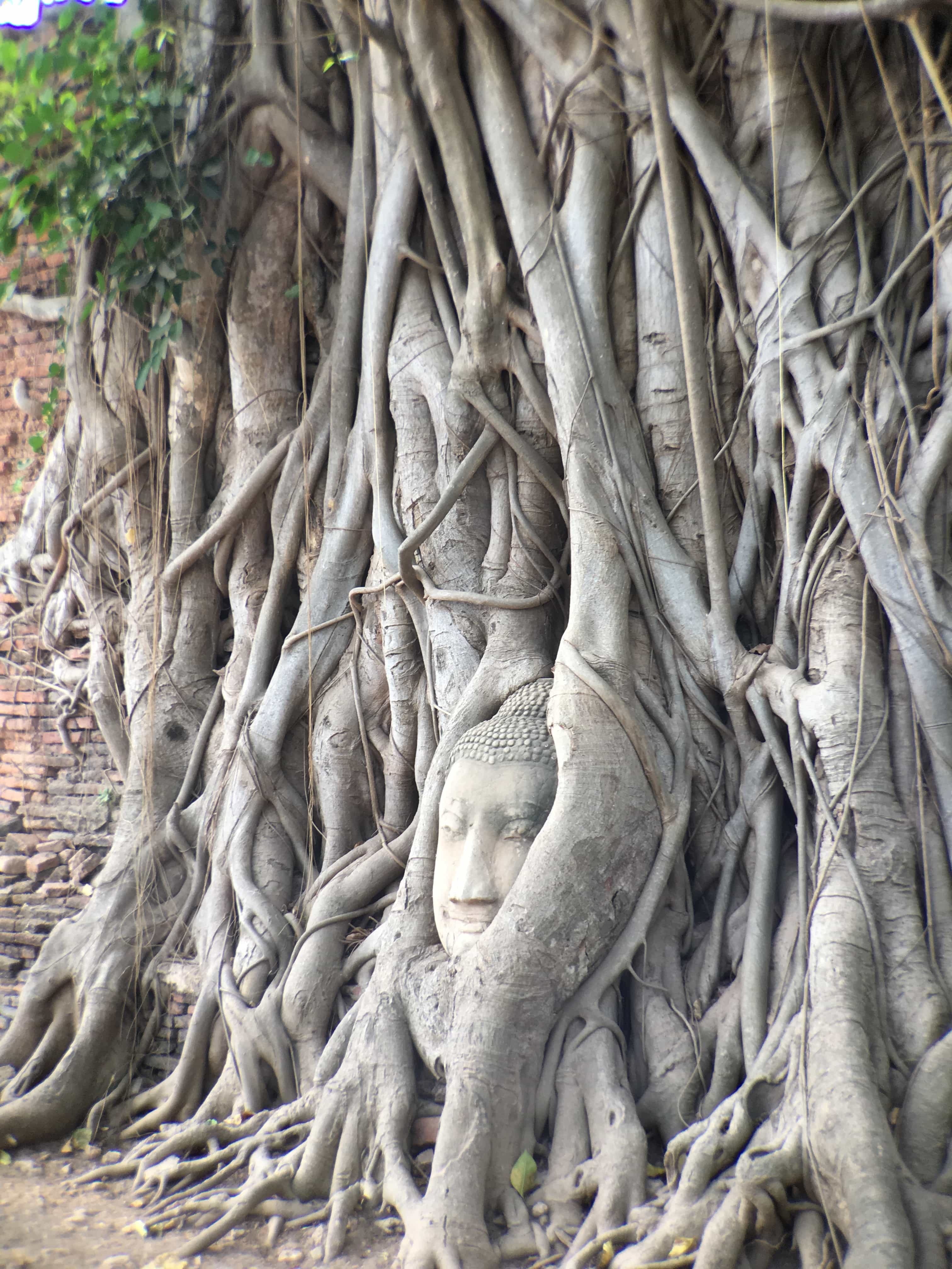 things to do in ayutthaya, where to stay in ayutthaya, what to eat in ayutthaya, how to get to ayutthaya