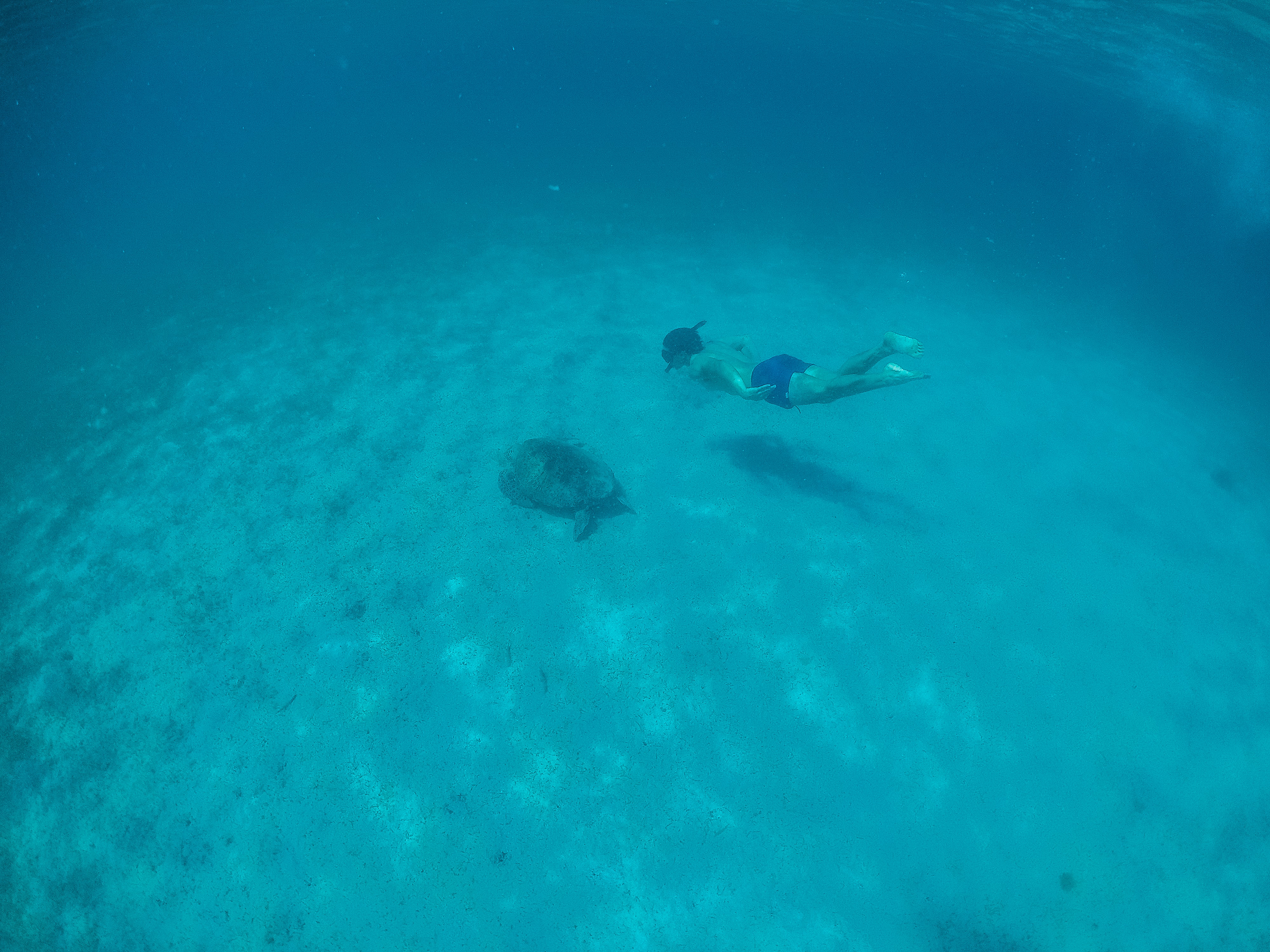 things to do in San Vicente Palawan, San Vicente Palawan travel guide