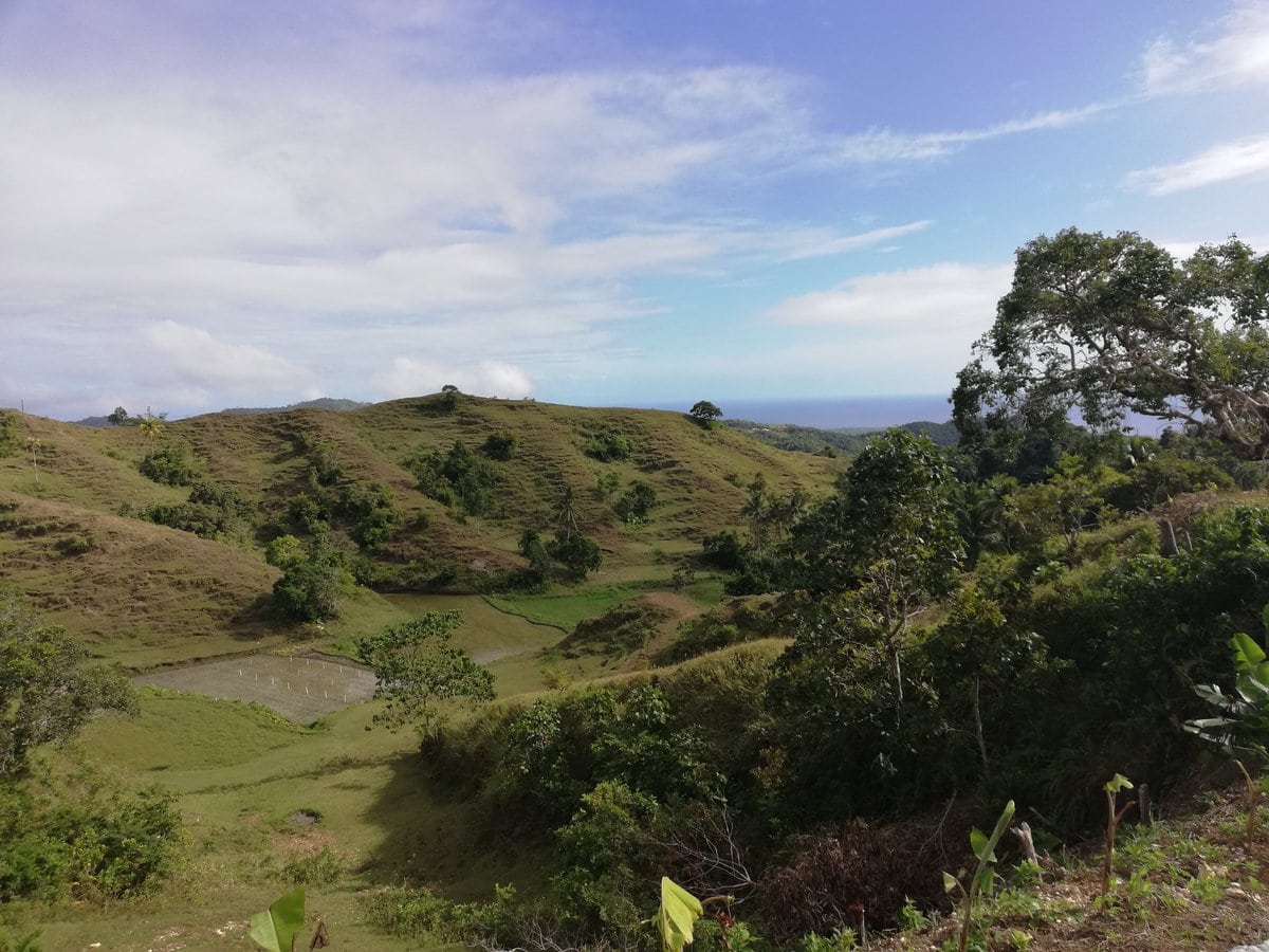  siquijor tourist spots, things to do in siquijor, Mt. Bandilan National Park, 