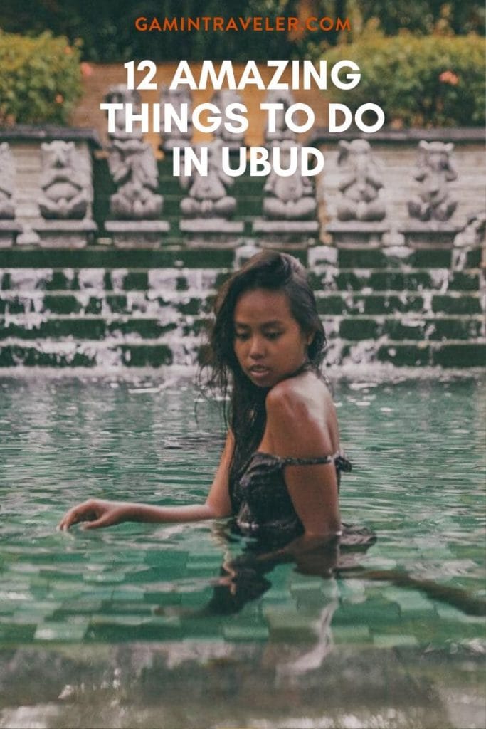ubud pin 2