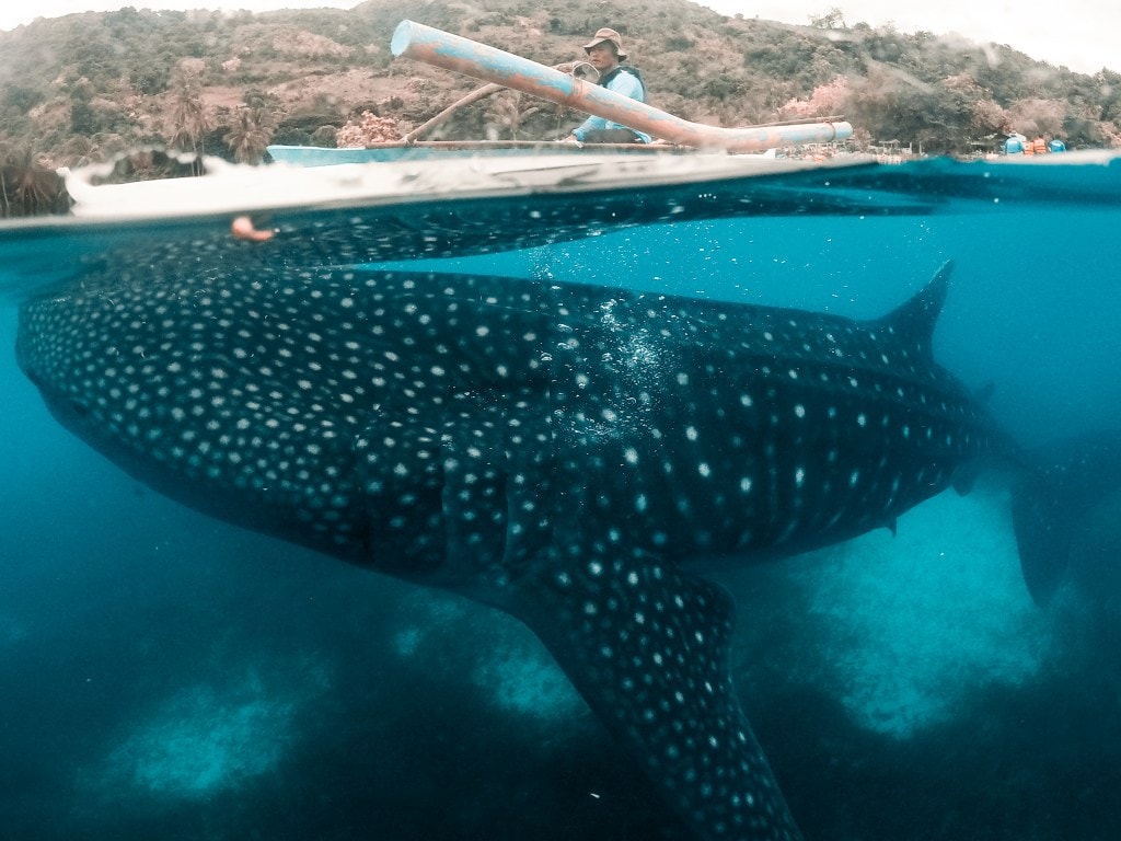 instagrammable places in Cebu, Oslob