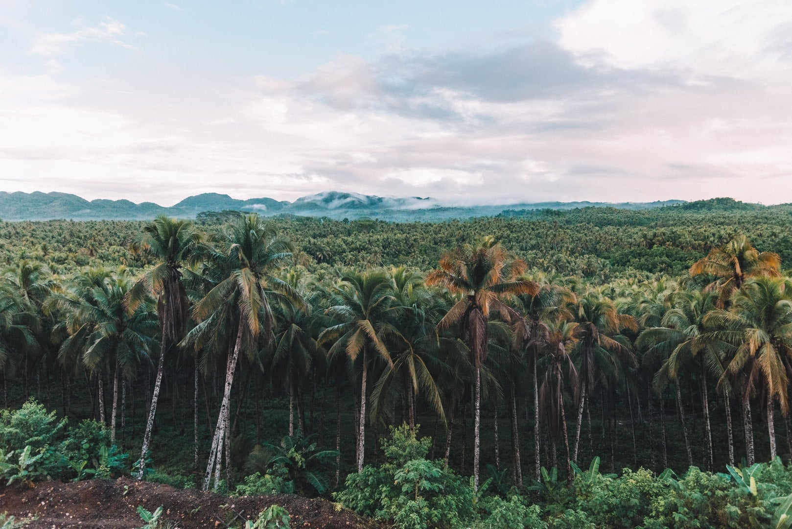 How To Get From Cagayan de Oro To Siargao, How to get to Alegria Beach