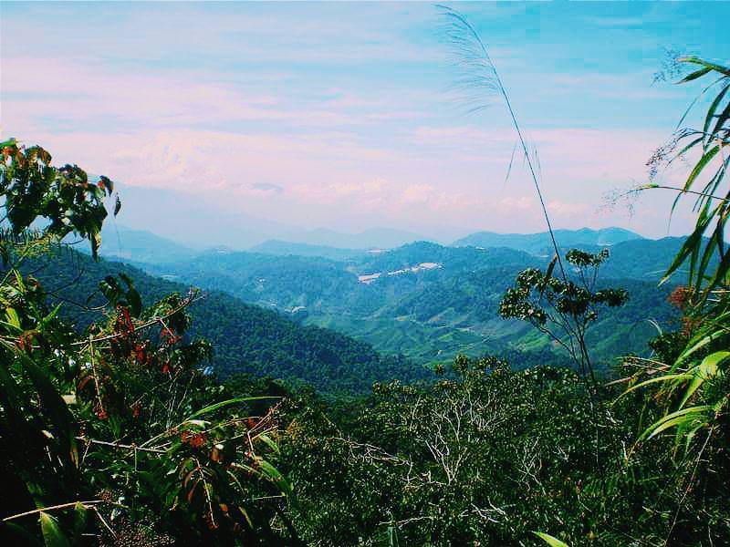 Don't Do This In Malaysia: 20 Things Not to Do in Malaysia, Instagrammable places in Malaysia, Cameron highlands