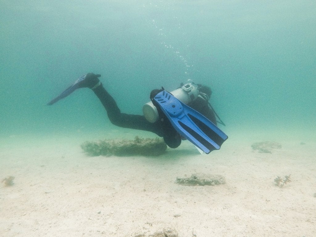 Manila to Anilao, how to get to Anilao, Things to do in Puerto Galera, Diving in Puerto Galera