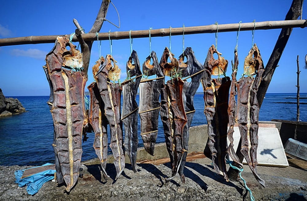 mahi mahi