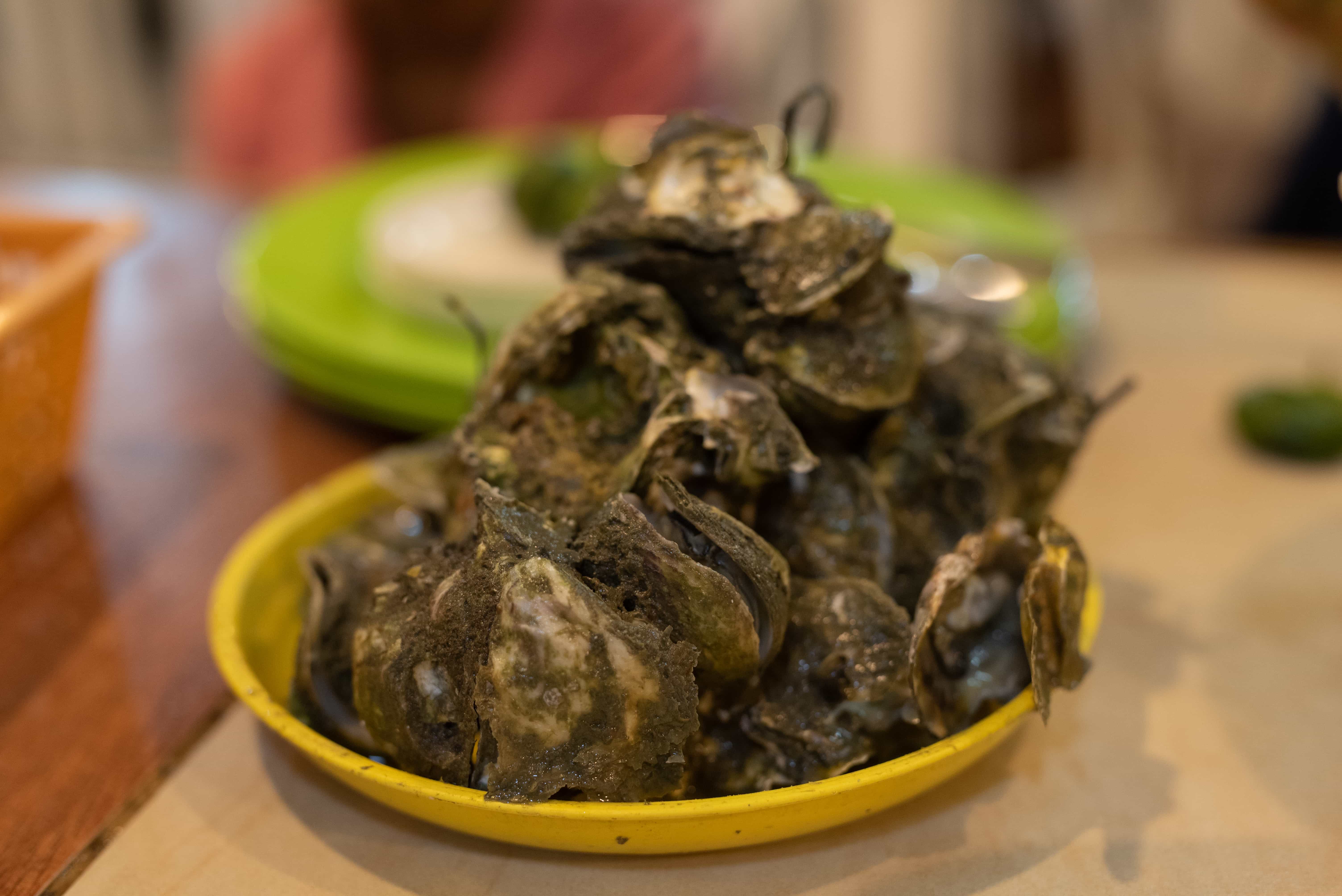 seafood in iloilo, things to do in bacolod, bacolod tourist spots, hotels in bacolod city, best time to visit Bacolod city, Oyster in Bacolod City