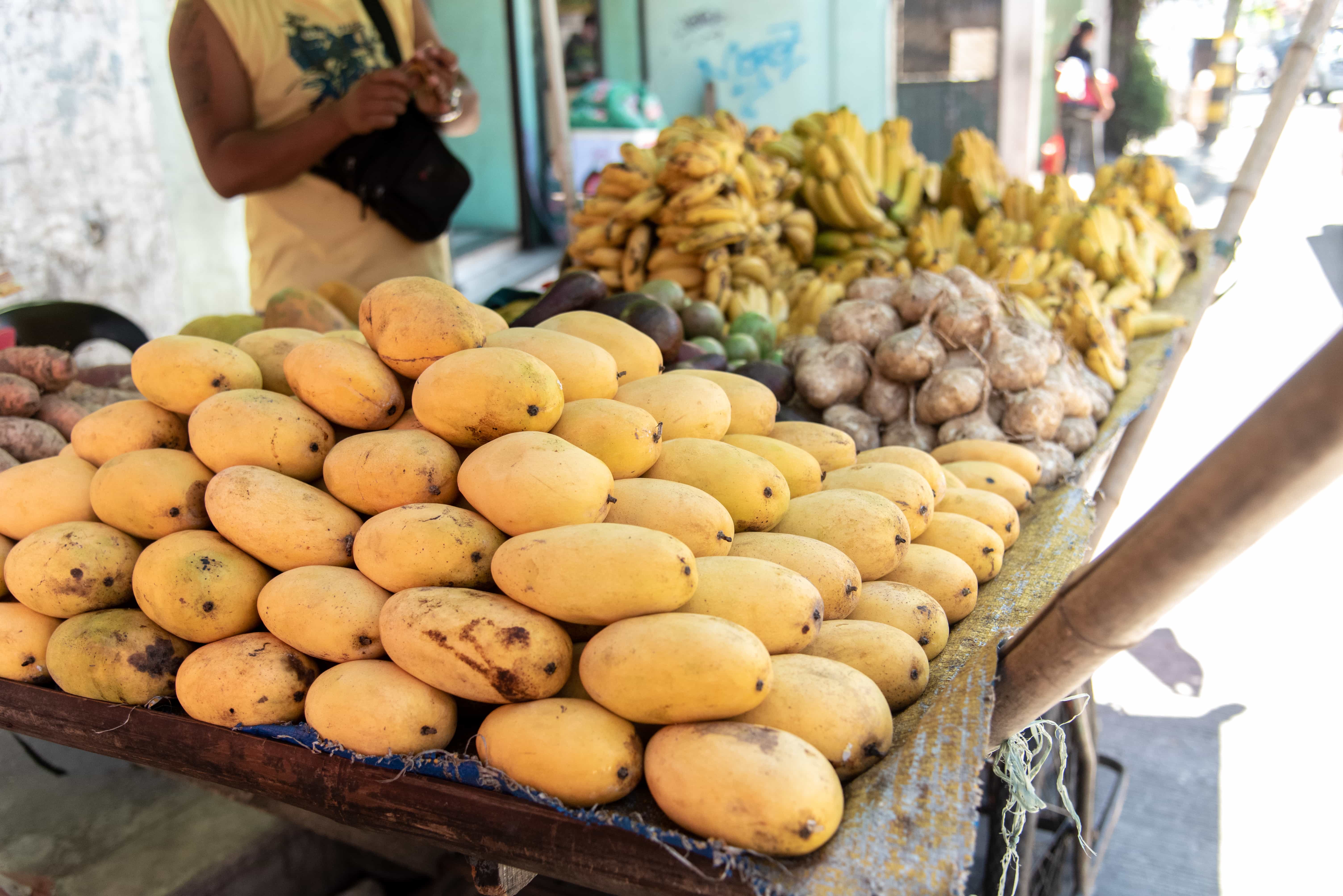 Iloilo 10