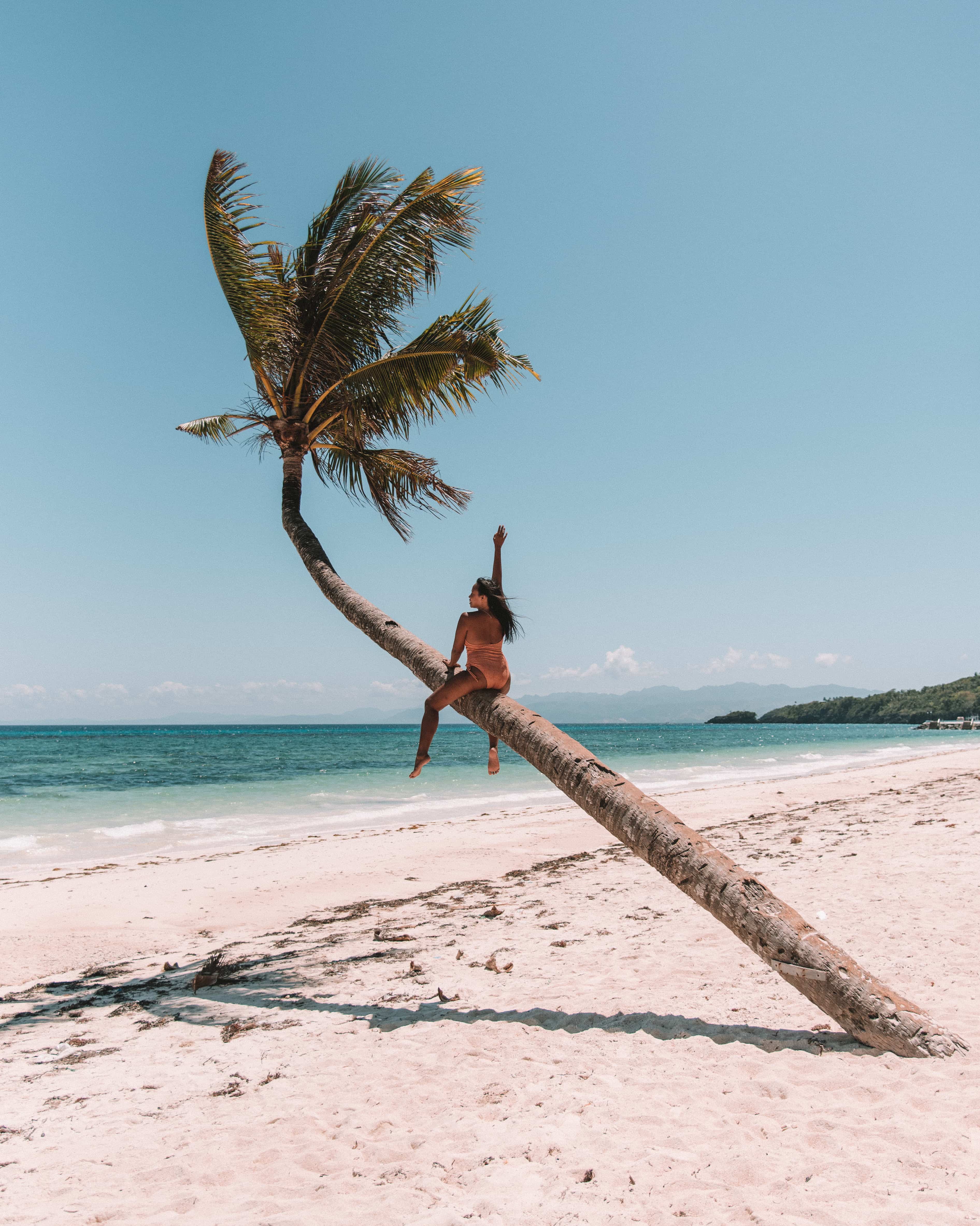  How to get to Carabao Island, Carabao Island travel guide, what to do in Carabao Island, Carabao Island, bent palm tree in Carabao island, bent palm tree