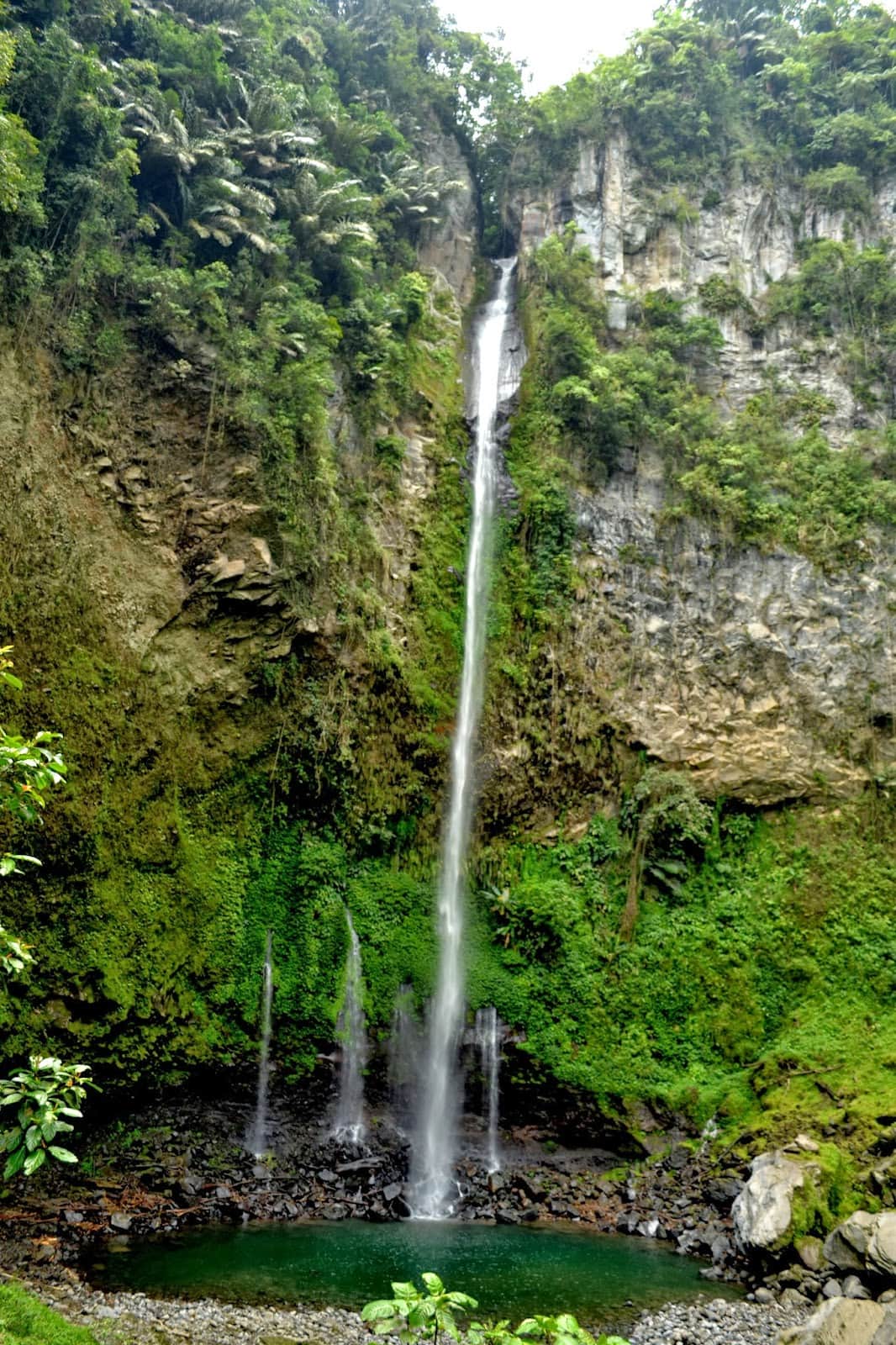 tudaya 4