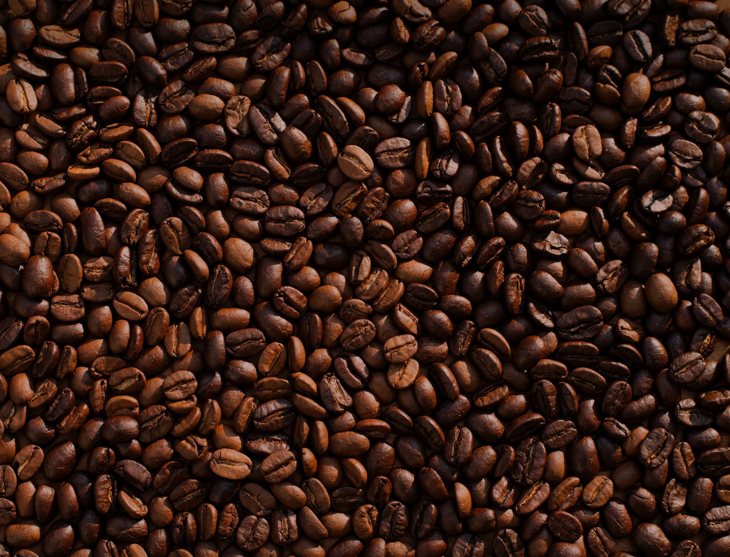 Barako Coffee, Tagaytay itinerary, 
filipino drinks, drinks in the philippines, philippines drinks, filipino beers