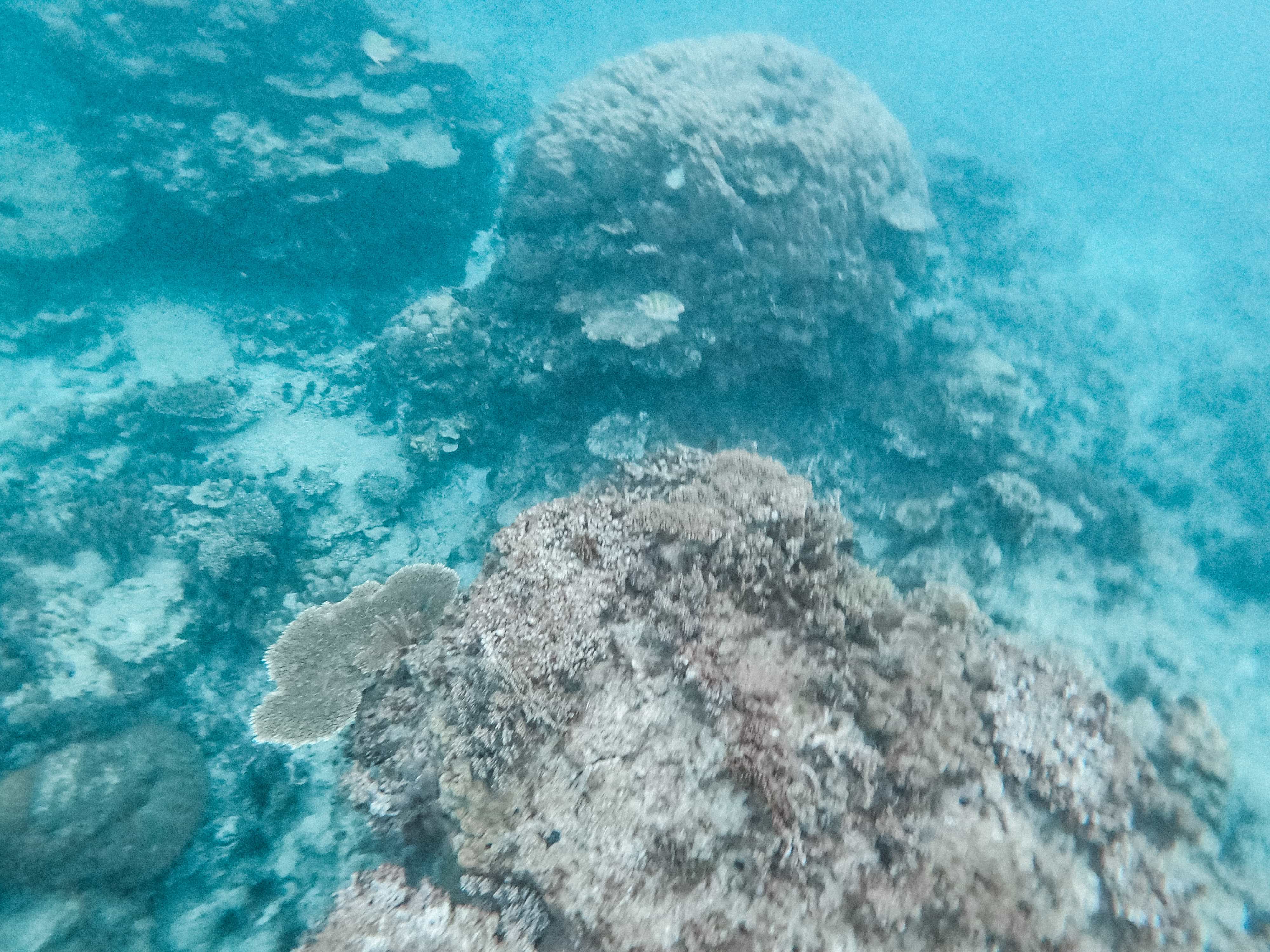Calaguas Island itinerary, snorkeling in Calaguas Island