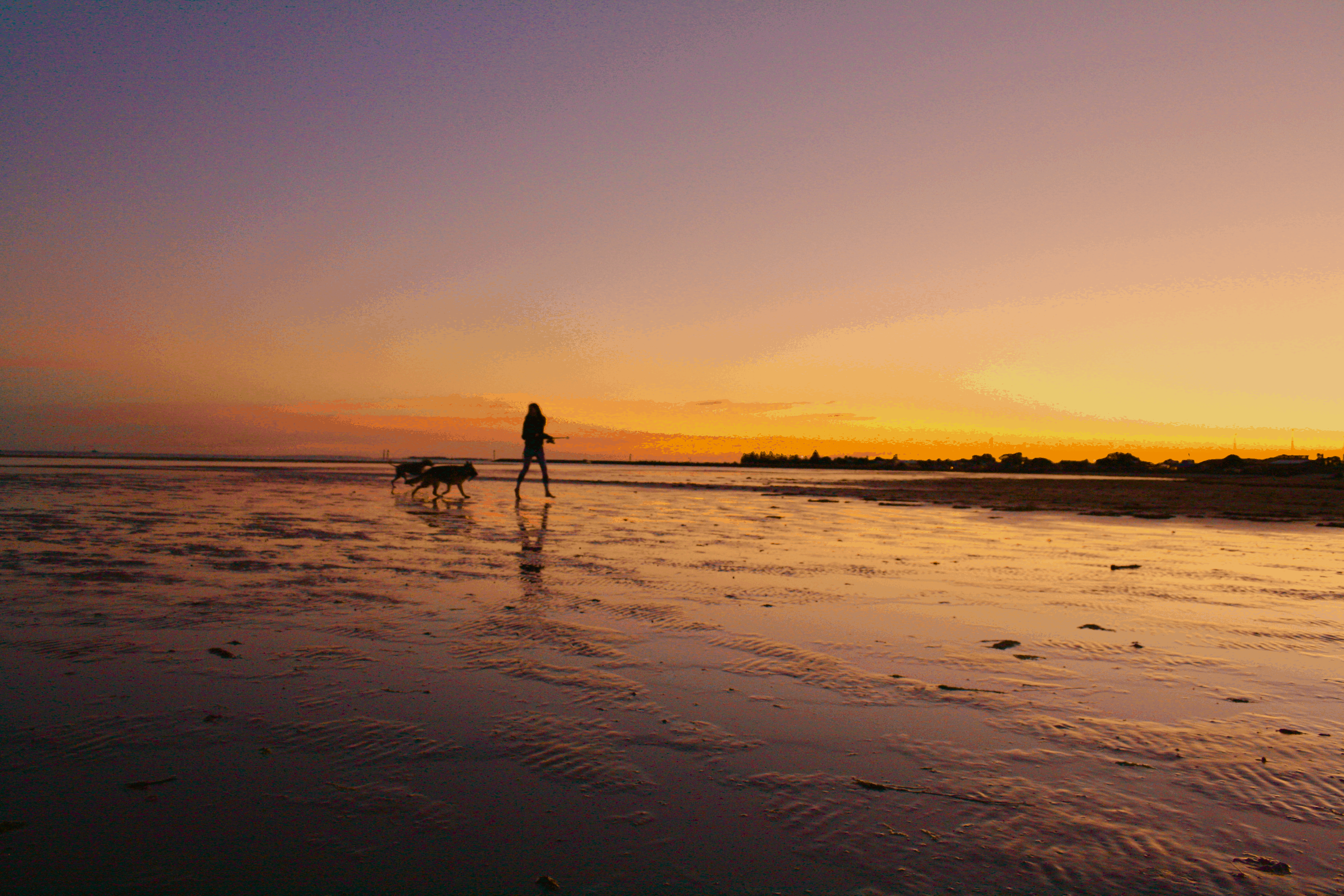 budget things to do in Australia