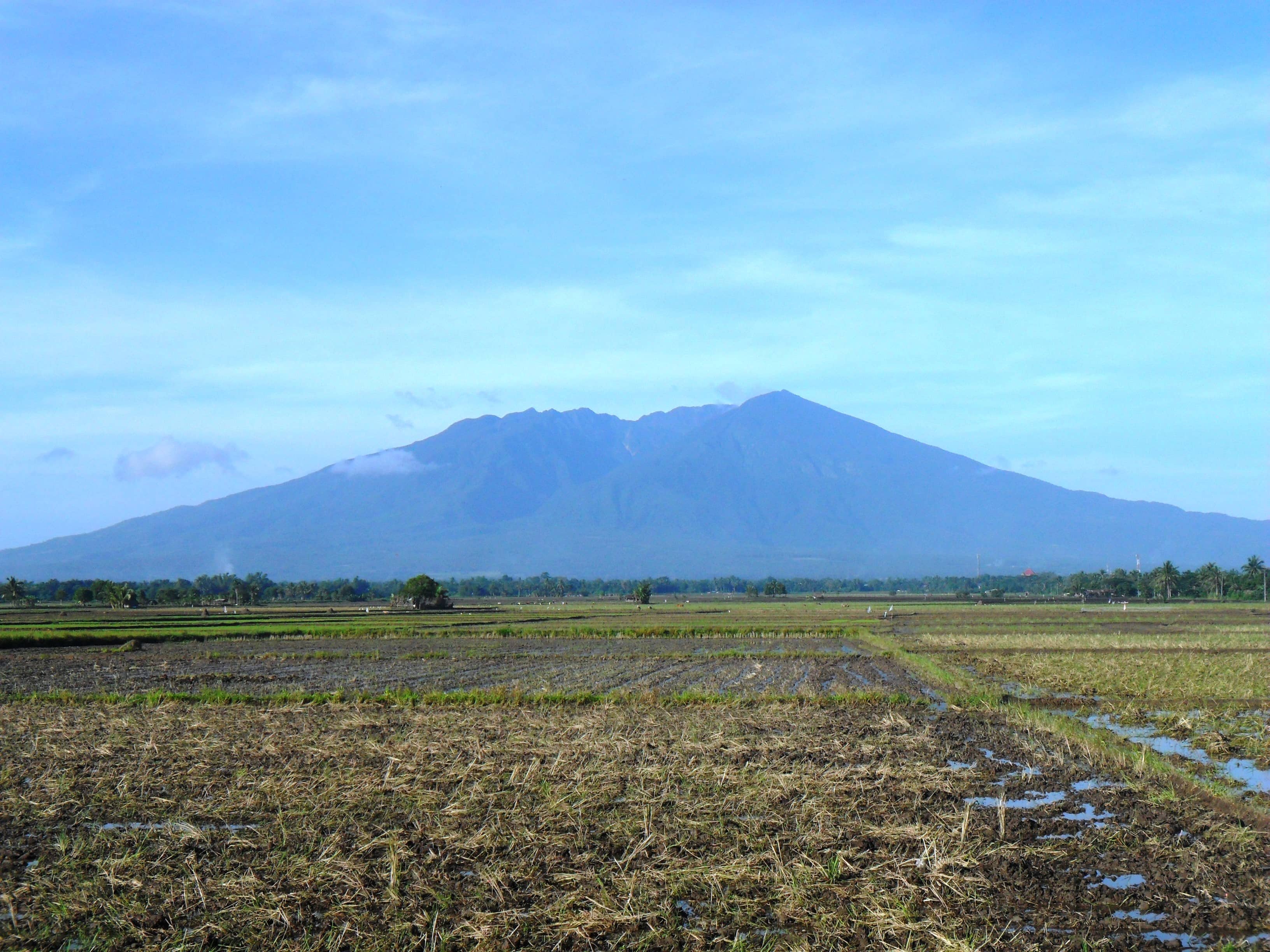 Mt Isarog National Park, Naga tourist spots, Naga travel guide