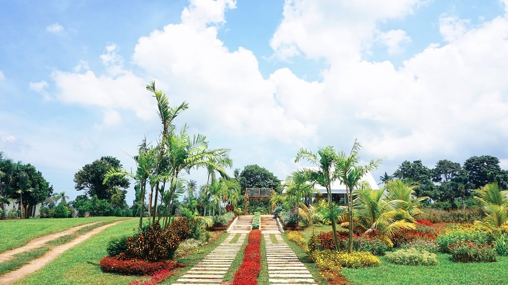 Sonrisa Farm, Naga tourist spots, Naga travel guide