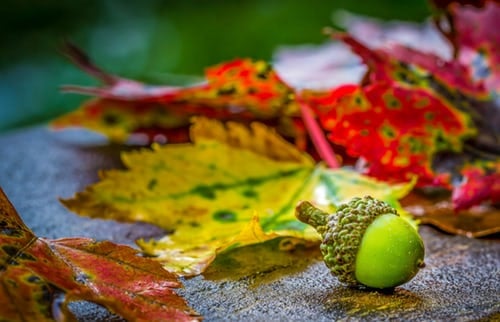 Bettle Nut, Things to know before visiting Taiwan