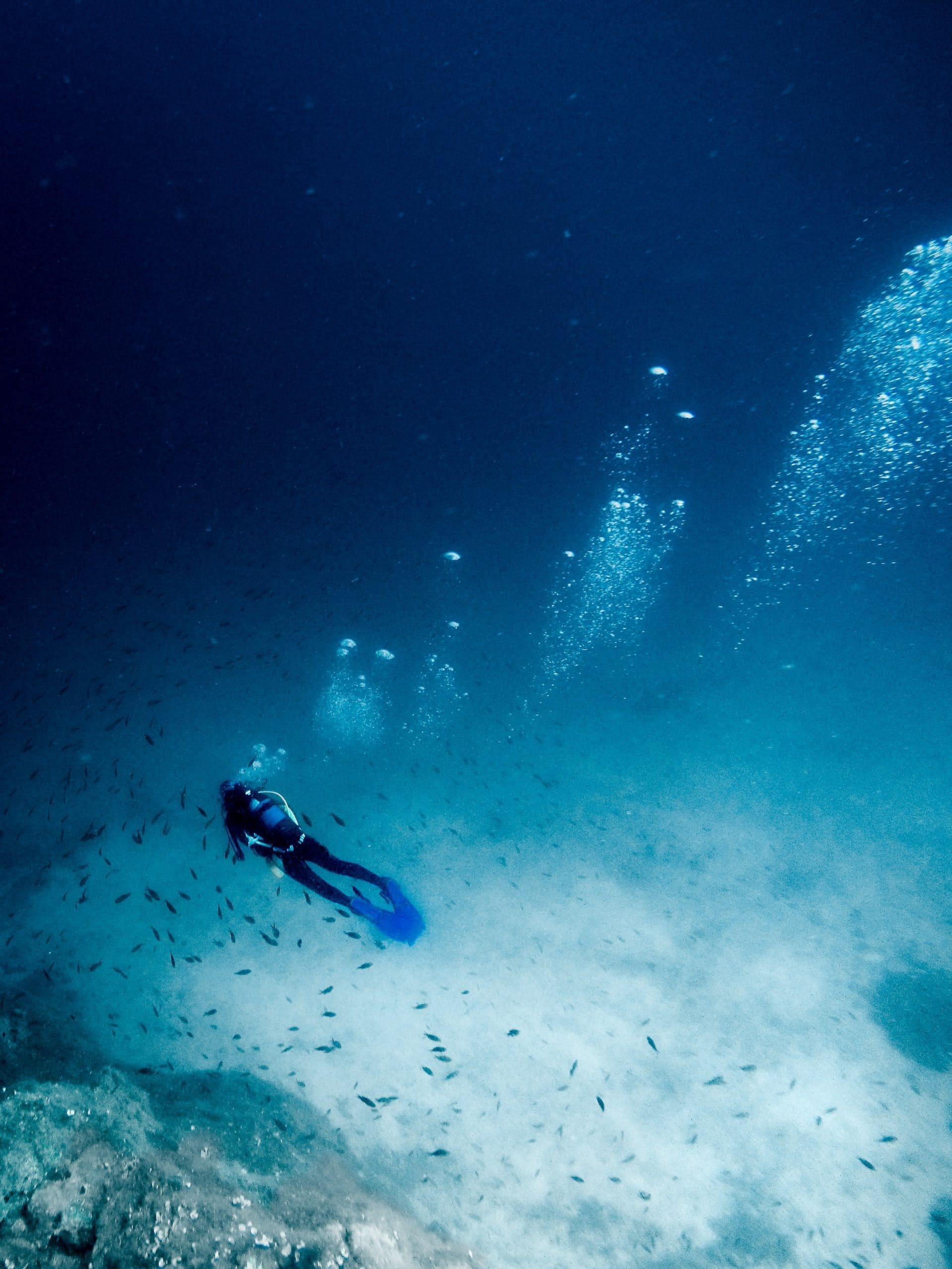 Panagatan, diving in the Philippines