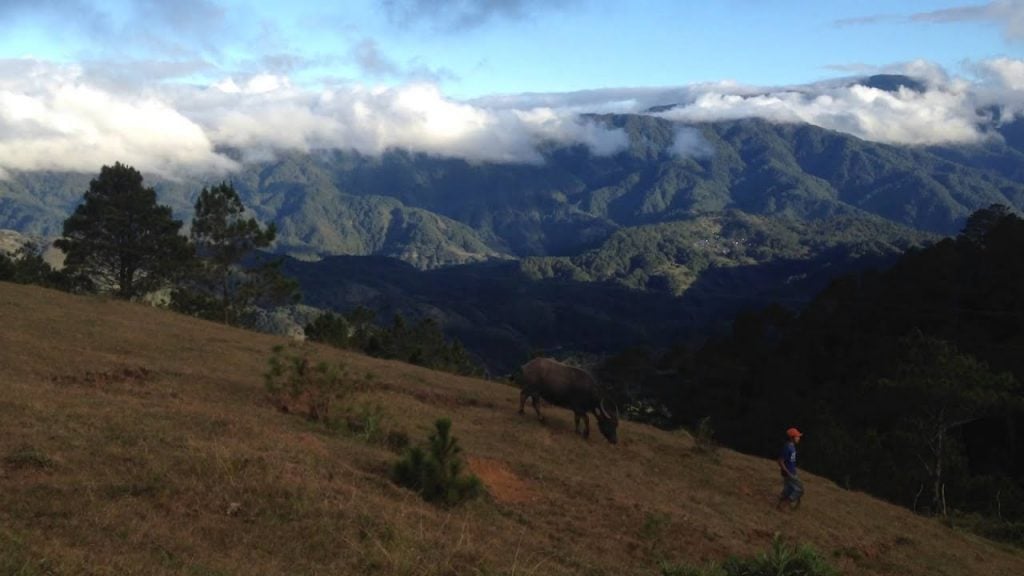 Hiking Mt Ampacao