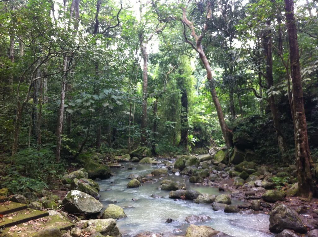 Makiling Botanical Gardens, laguna tourist spots, laguna travel guide