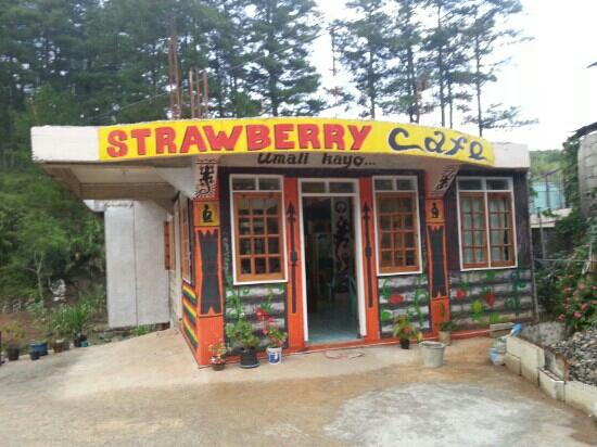 Strawberry Cafe