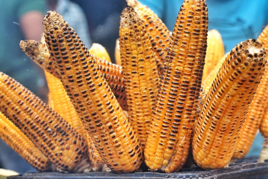 Elote, guatemala food, guatemalan food, guatemalan desserts, guatemalan tamales, guatemalan cuisine, guatemalan dishes, guatemala dishes, guatemalan street food, dishes from guatemala, food in guatemala