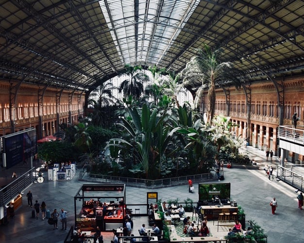 Madrid Instagram Spots 25 Most Instagrammable Places in Madrid 20 Atocha Train Station,