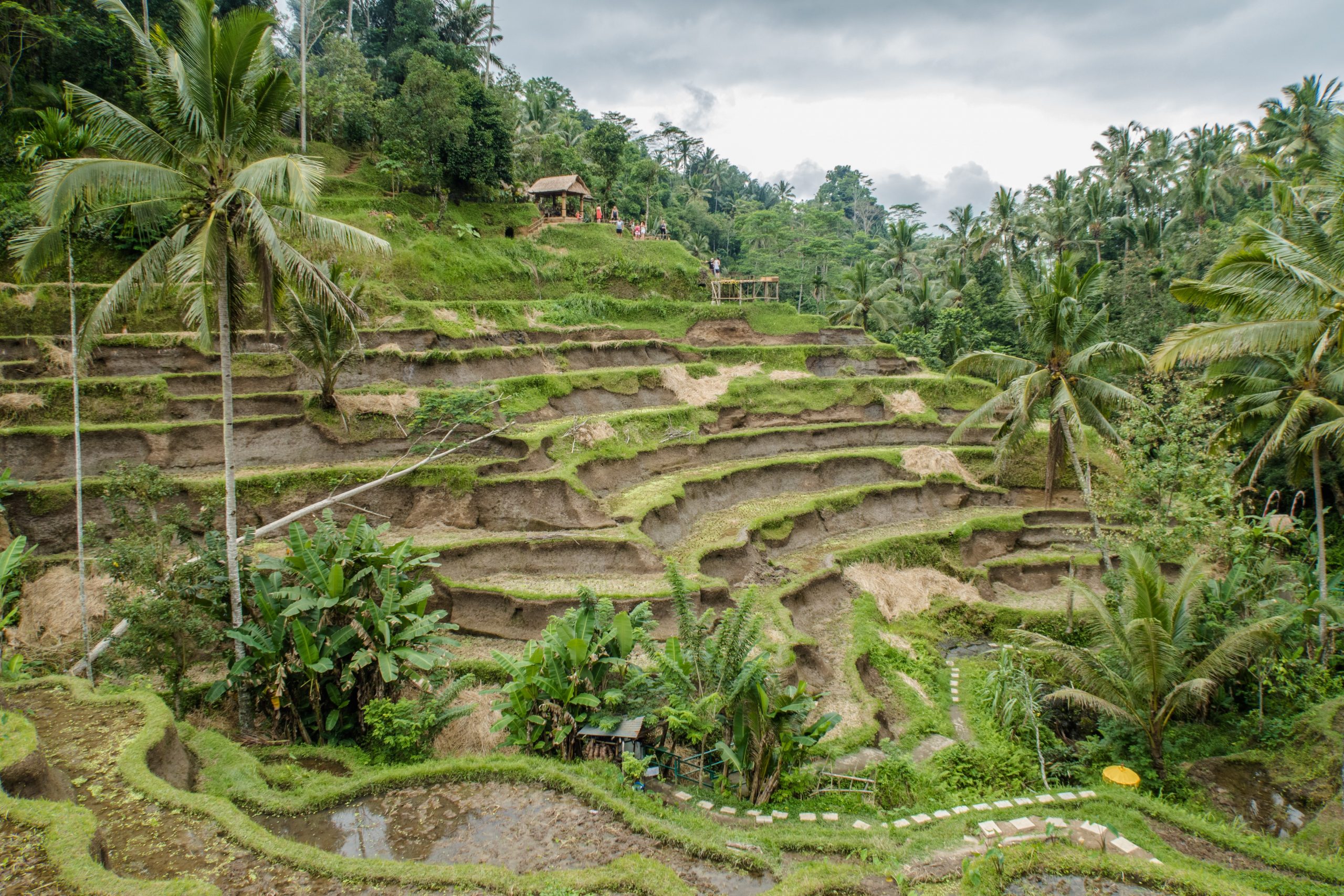 Best Things To Do In Bali And Places To Visit in Bali