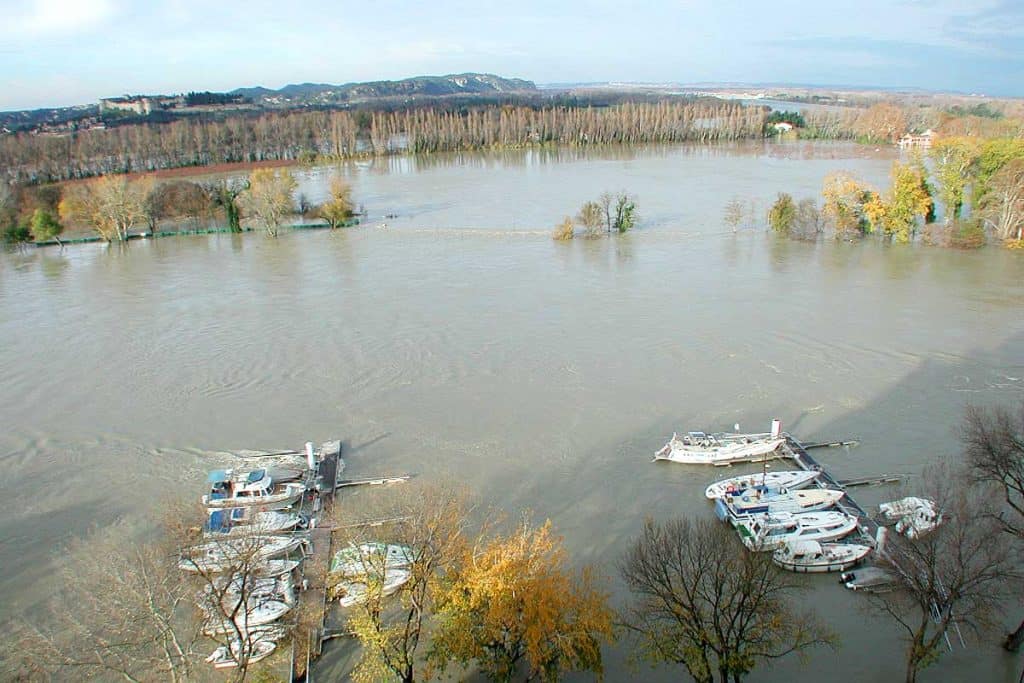 Things to do in Avignon, Avignon Tourist Spots, Barthelasse Island