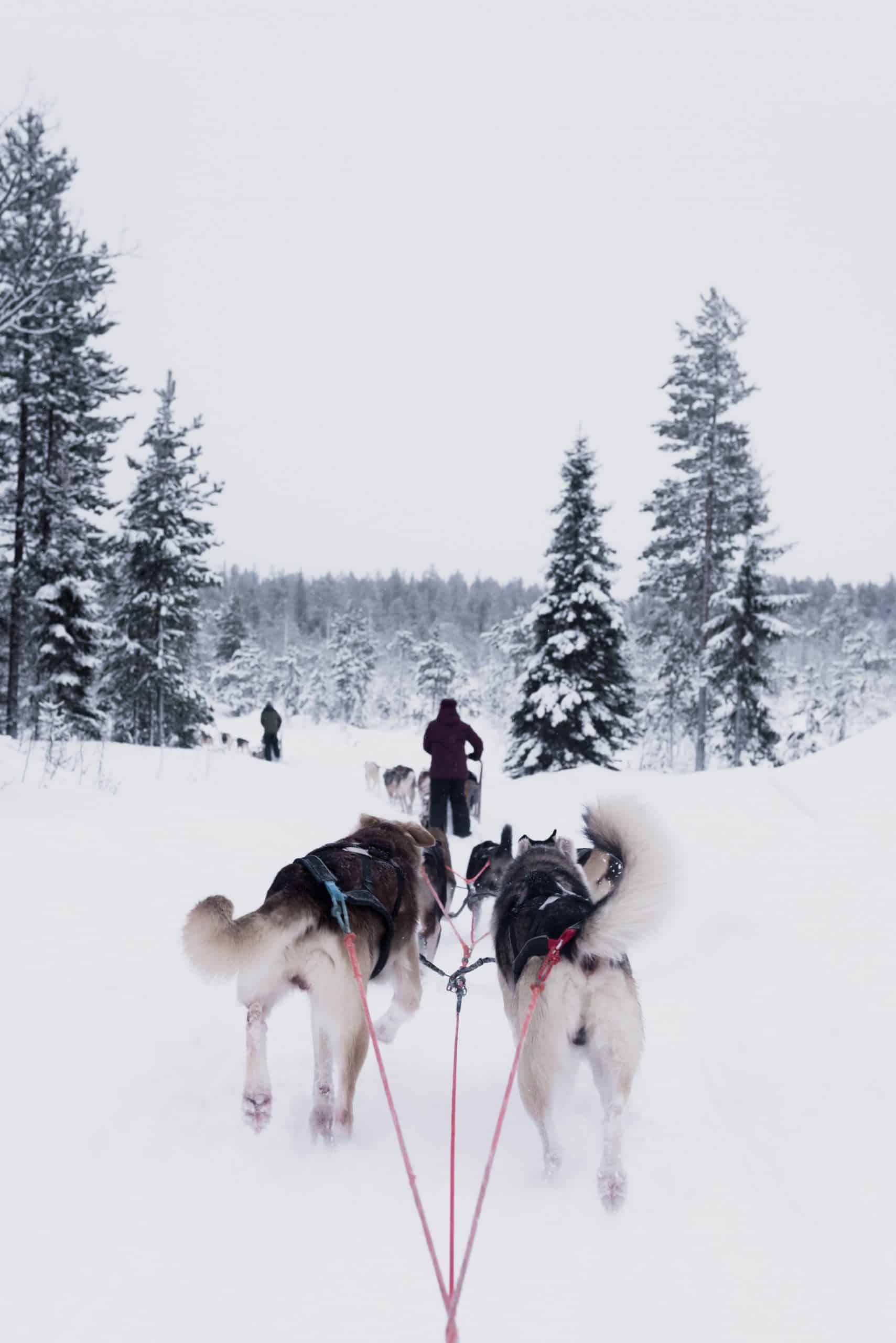 Forget About Christmas Markets and Visit These 13 Unique Destinations Instead, Top 15 Countries That You Didn't Know Are Safer Than the US: Uncovering Hidden Safe Havens, Safest Countries to Travel in 2024, finland sim card for tourist, finland prepaid sim card, finish sim card, finland sim card, prepaid sim card finland, sim card finland, finland tourist sim card