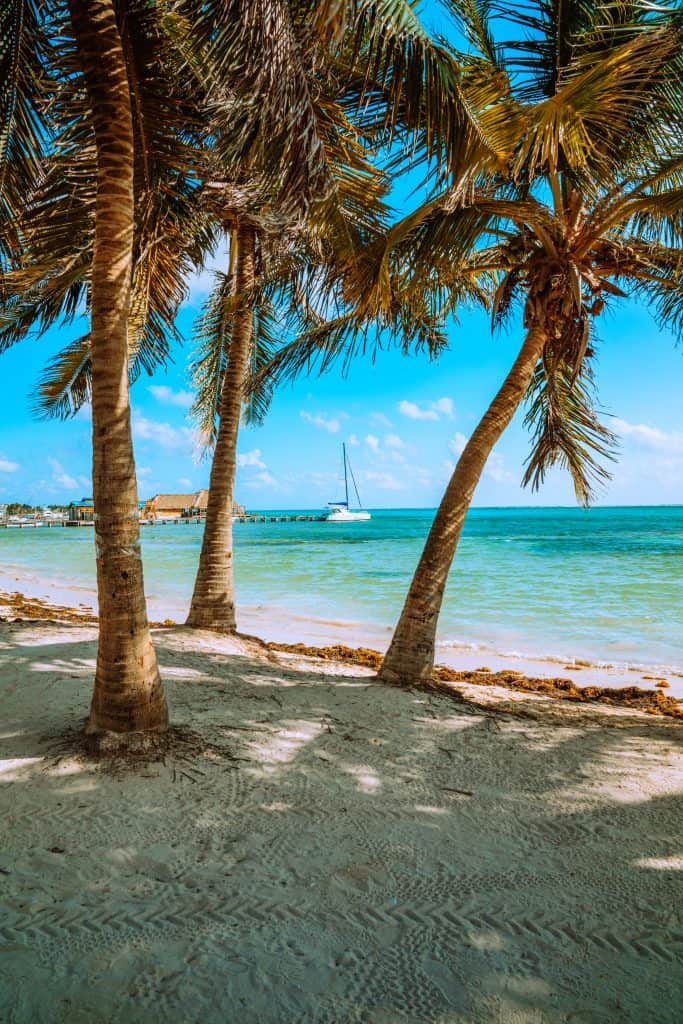 belize sim card for tourist, belize sim card, belize prepaid sim card, sim card belize, belize tourist sim card, sim card Belize airport, sim card Mexico City airport, cheapest sim card in Belize