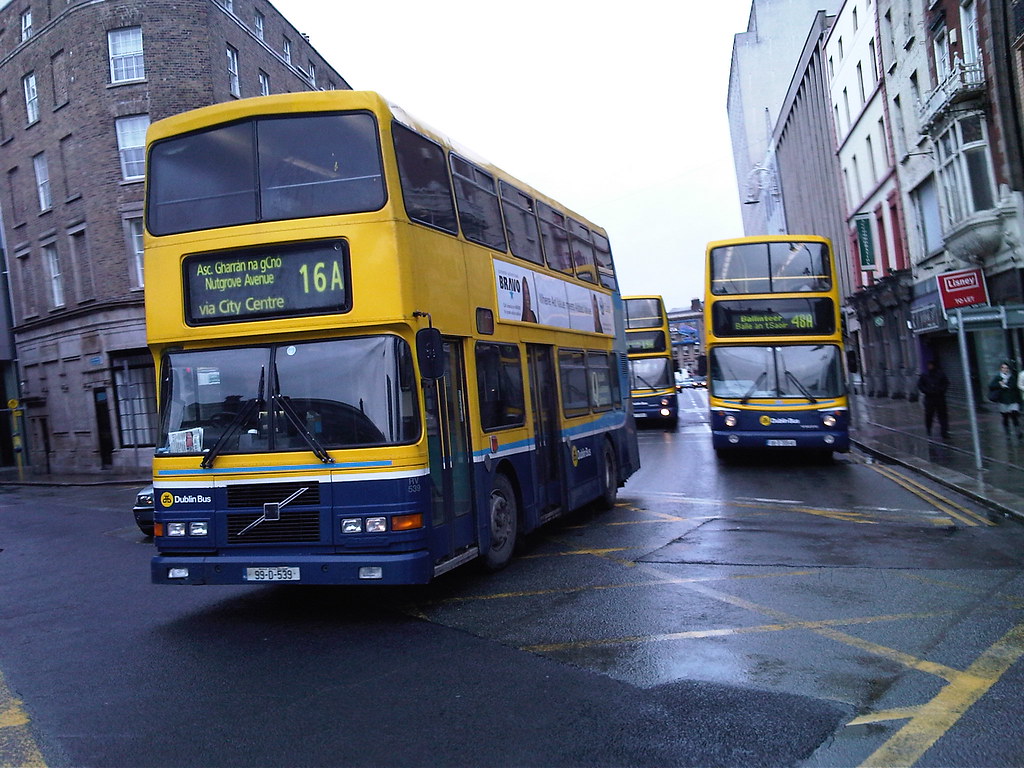 15 Best Tips for Expats Living in Ireland