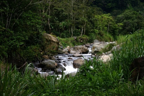Panama travel tips, things to know before visiting Panama, facts about Panama, Boquete