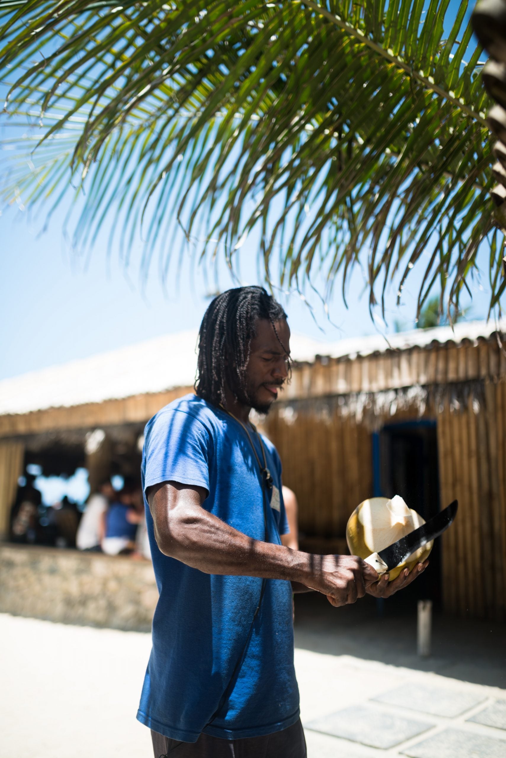 Don’t Do This in the Caribbean: 20 Things Not to Do in the Caribbean, Jamaica Republic Travel Tips, things to know before visiting Jamaica, facts about Jamaica, Coconut Water