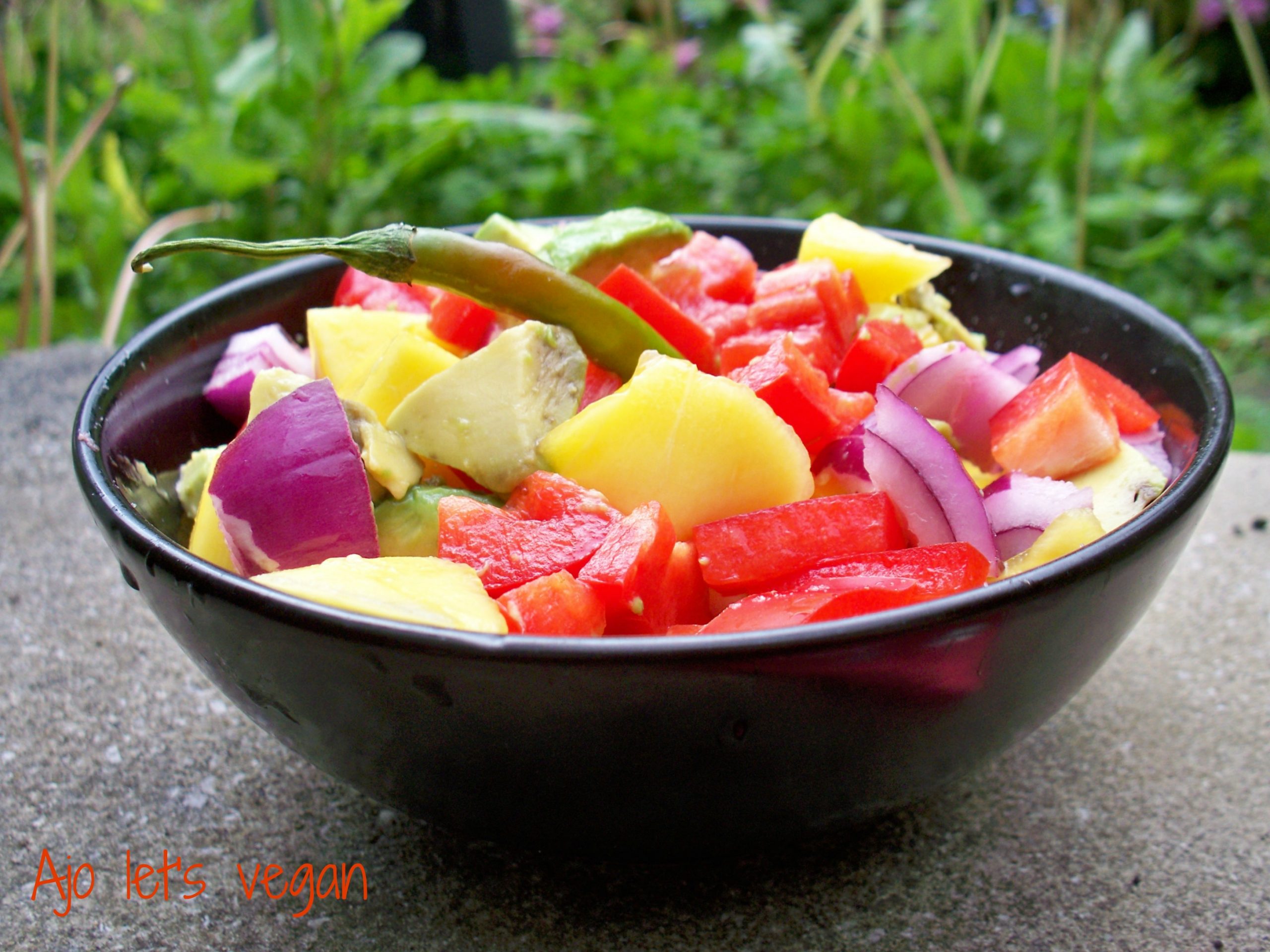 vegetarian food in Guatemala, vegan food in guatemala, vegetarian dishes in Guatemala,  Guatemalan vegetarian dishes, Spicy Mango And Avocado