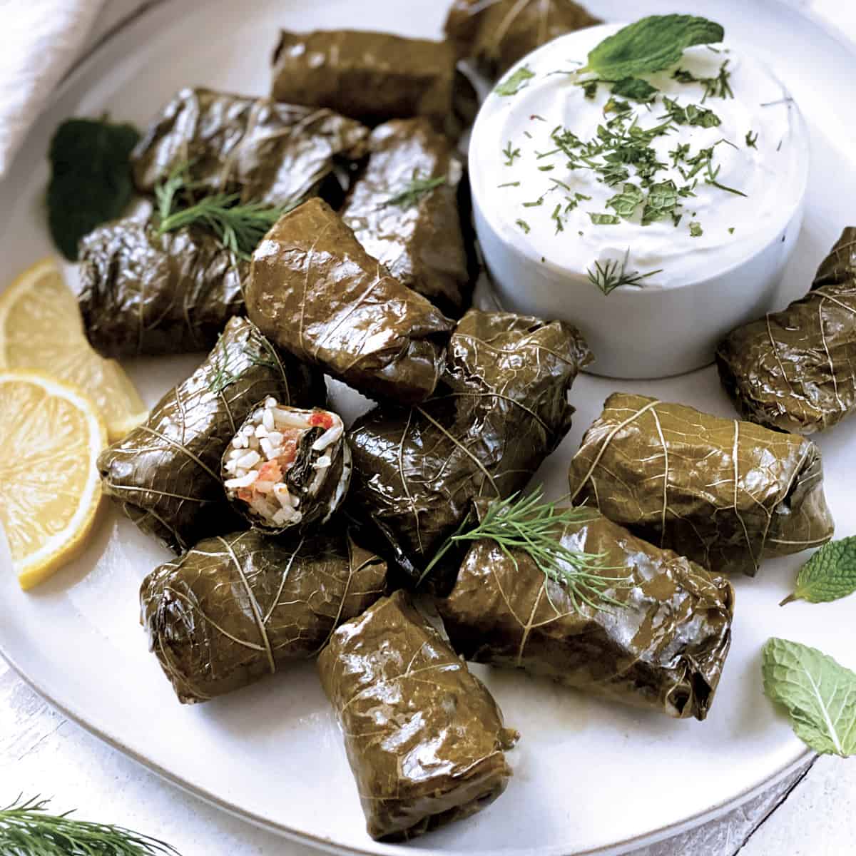 Dolmadakia Greek Food