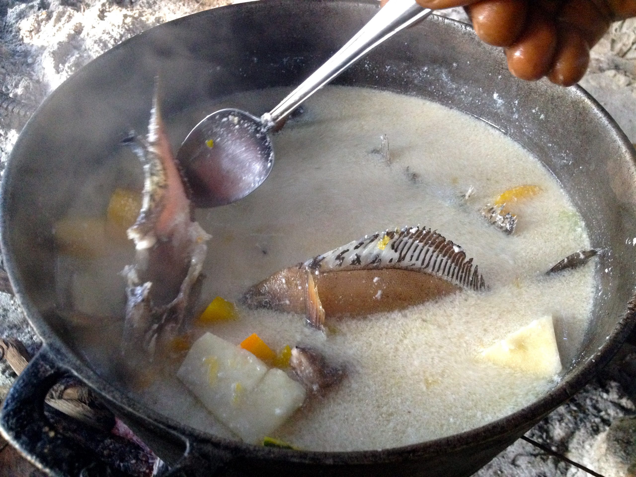 food in Jamaica, jamaican food, jamaican cuisine, jamaican dishes, jamaican drinks, jamaican appetizers, jamaican traditional food, Jamaican Fish Tea (or Fish Soup)