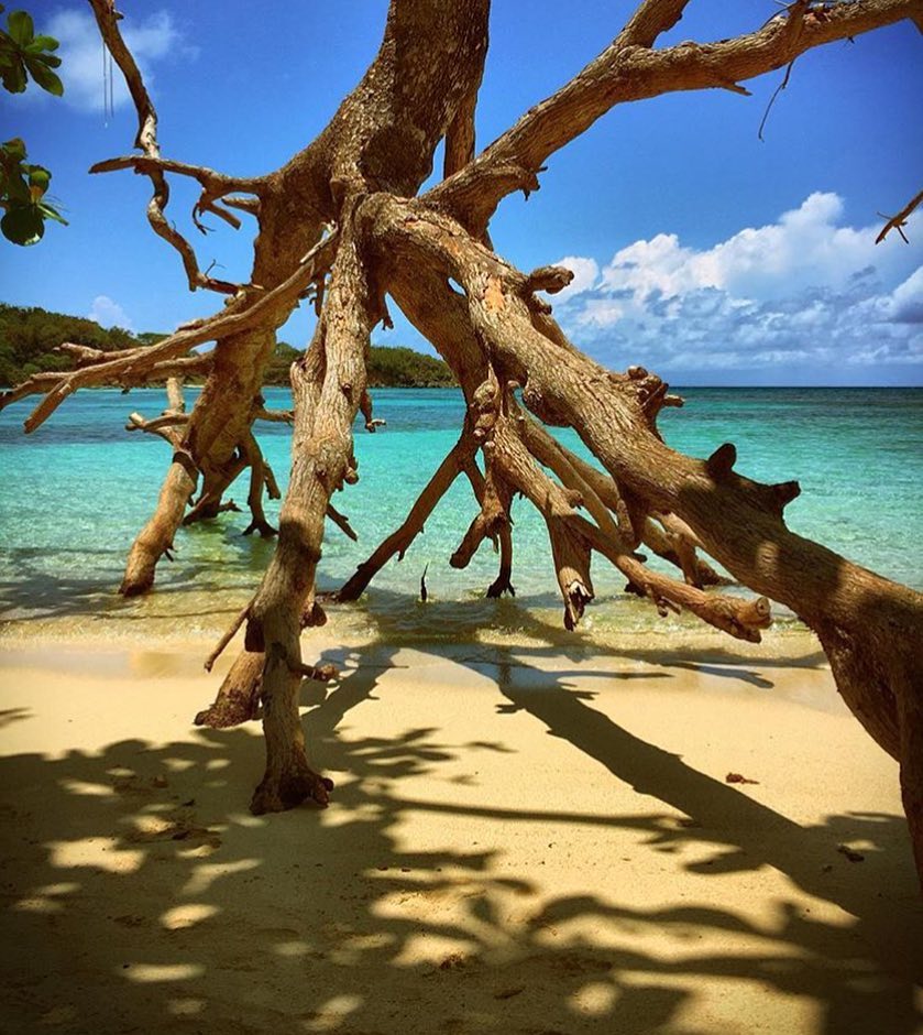 Dominican Republic vs Jamaica - Which is a Better Caribbean Trip?