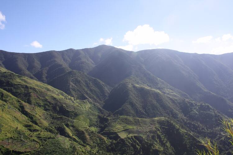  Blue and John Crow Mountains National Park, Dominican Republic vs Jamaica - Which is a Better Caribbean Trip?