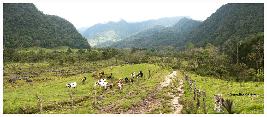 Colombia instagram spots, most instagrammable places in Colombia, Colombia photos, Colombia photography, La Pastora
