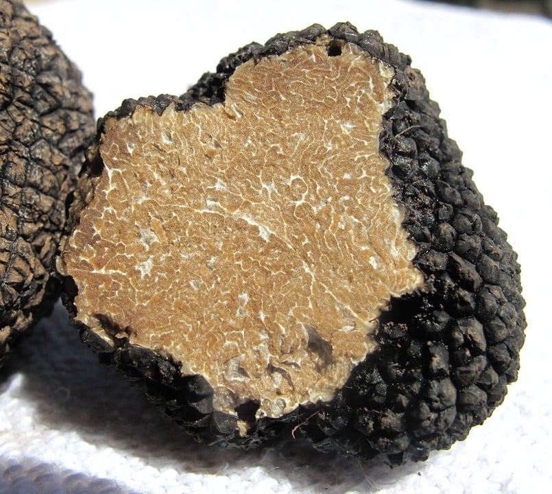 Truffles, Italian Food, Italian cuisine, traditional Italian food, food in Italy, Italian dishes