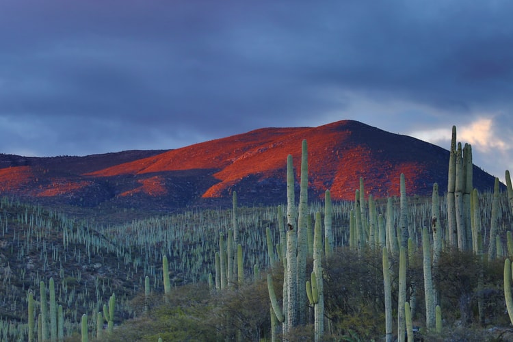 Most Instagrammable Places in Mexico, Mexico Instagram Spots, mexico photos, Mexico Photography, Zapolitan Salinas