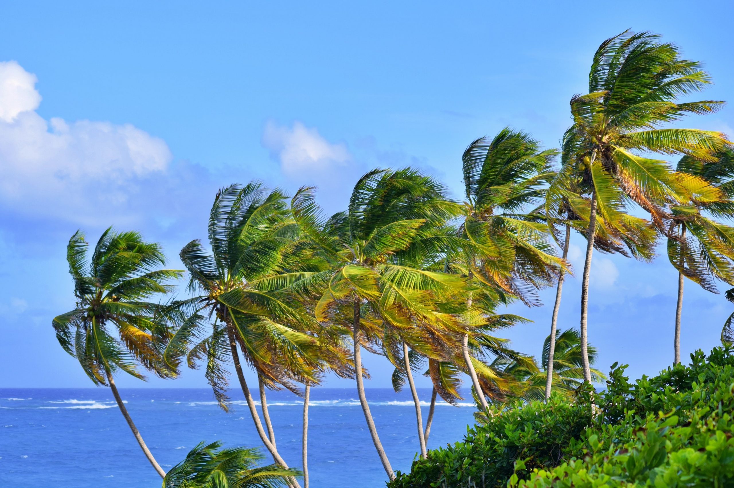 
barbados packing list, what to wear in barbados, what to pack for barbados