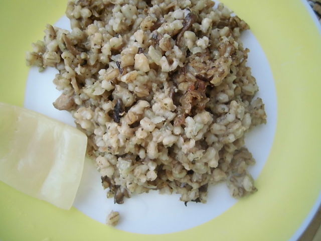 Czech Republic Food, Czech Republic cuisine, Traditional Czech Republic Food, food in Czech Republic, Czech Republic dishes, Houbový kuba