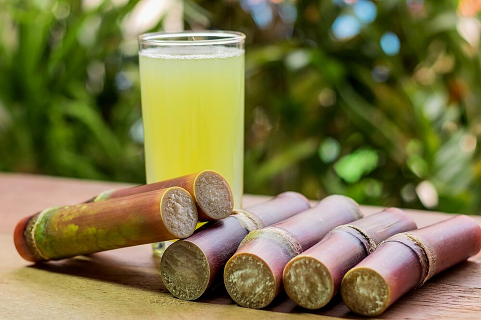 Traditional Mauritian drinks, Mauritius drinks, traditional drinks in Mauritius, Mauritian drinks, sugarcane