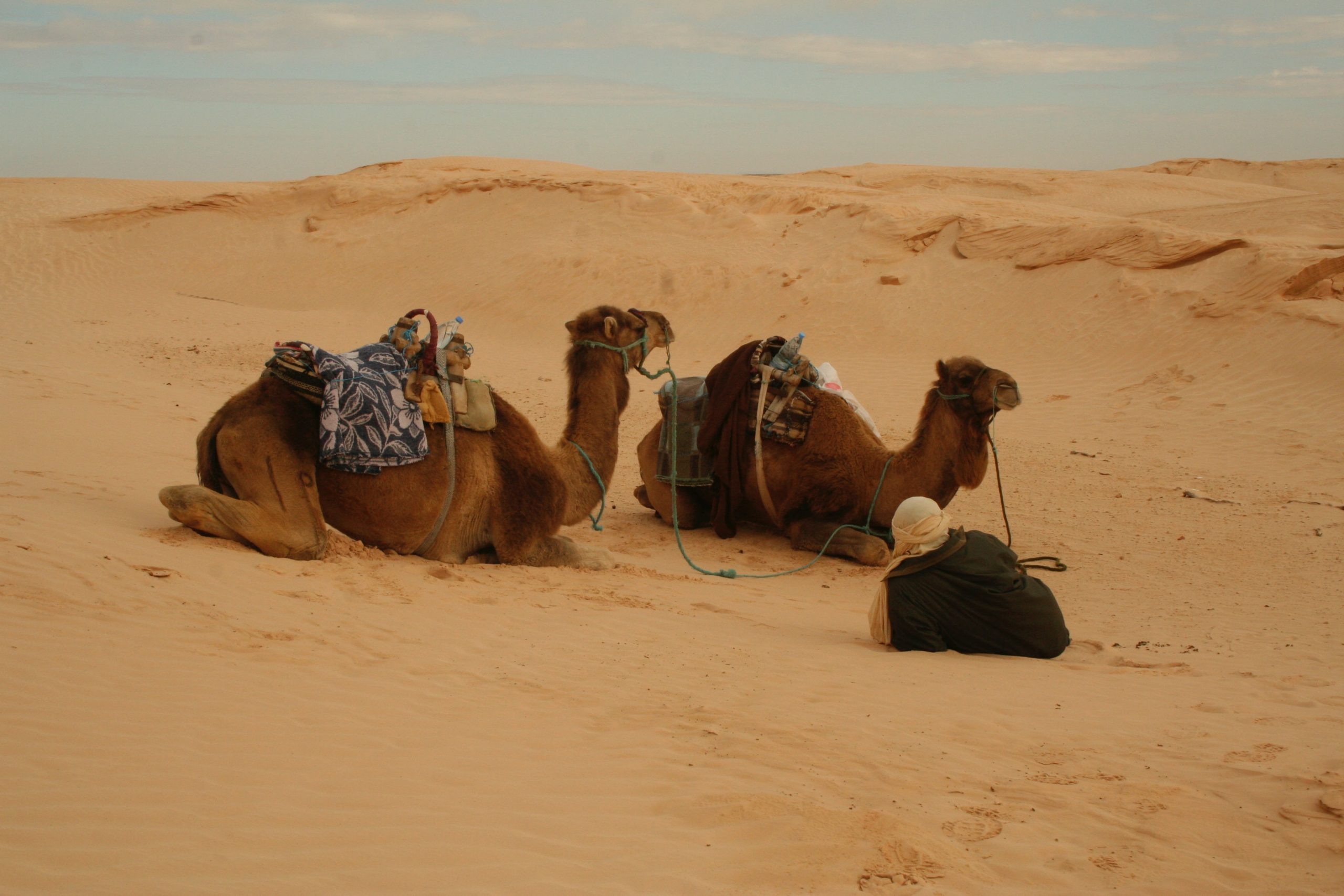 What to do in Dubai - 7 Checklist to Mark In Your Luxury Trip