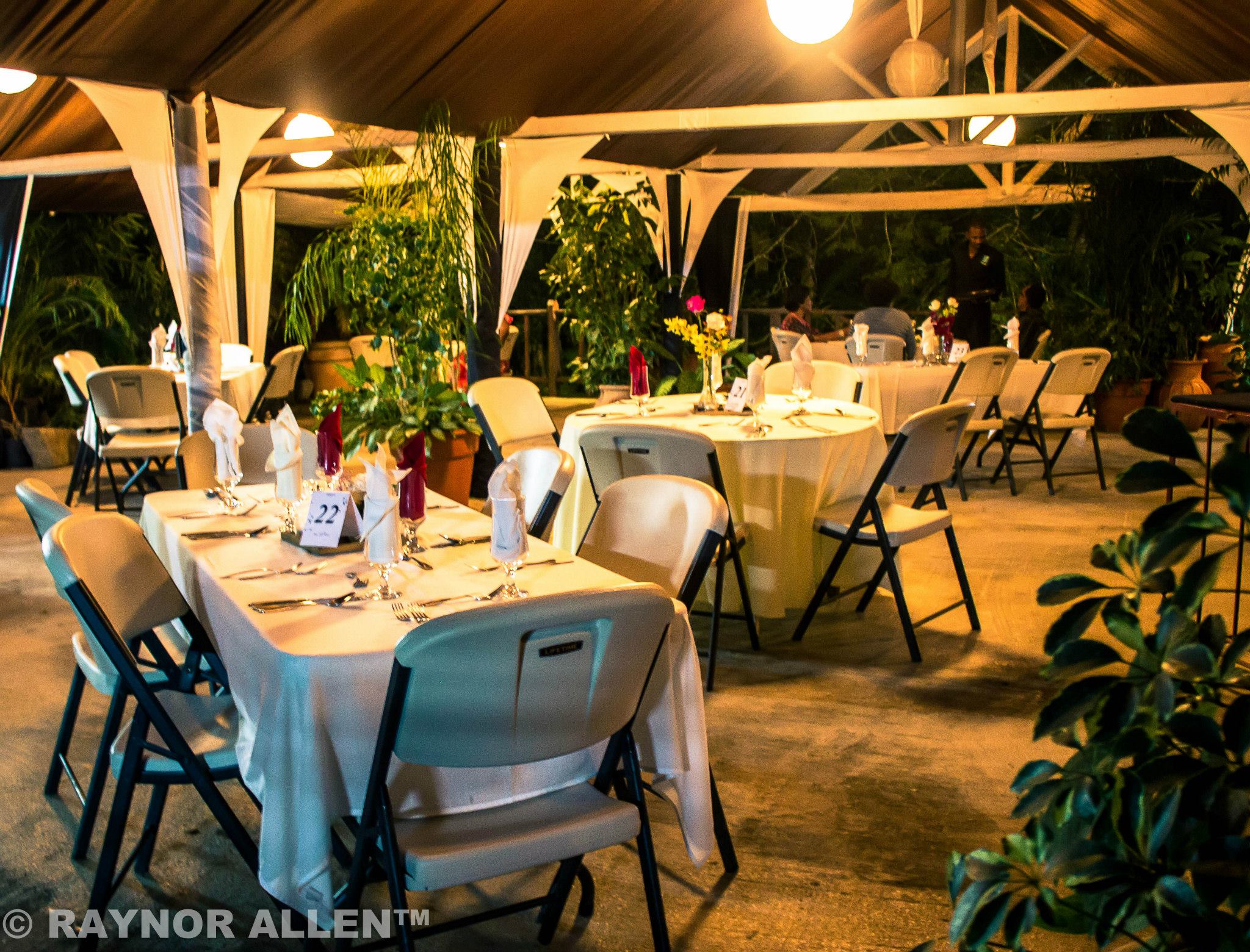 Restaurants in kingston jamaica, best restaurants in kingston jamaica, where to eat in kingston jamaica, restaurants kingston jamaica, kingston jamaica food, best kingston jamaica restaurants, boone hall oasis