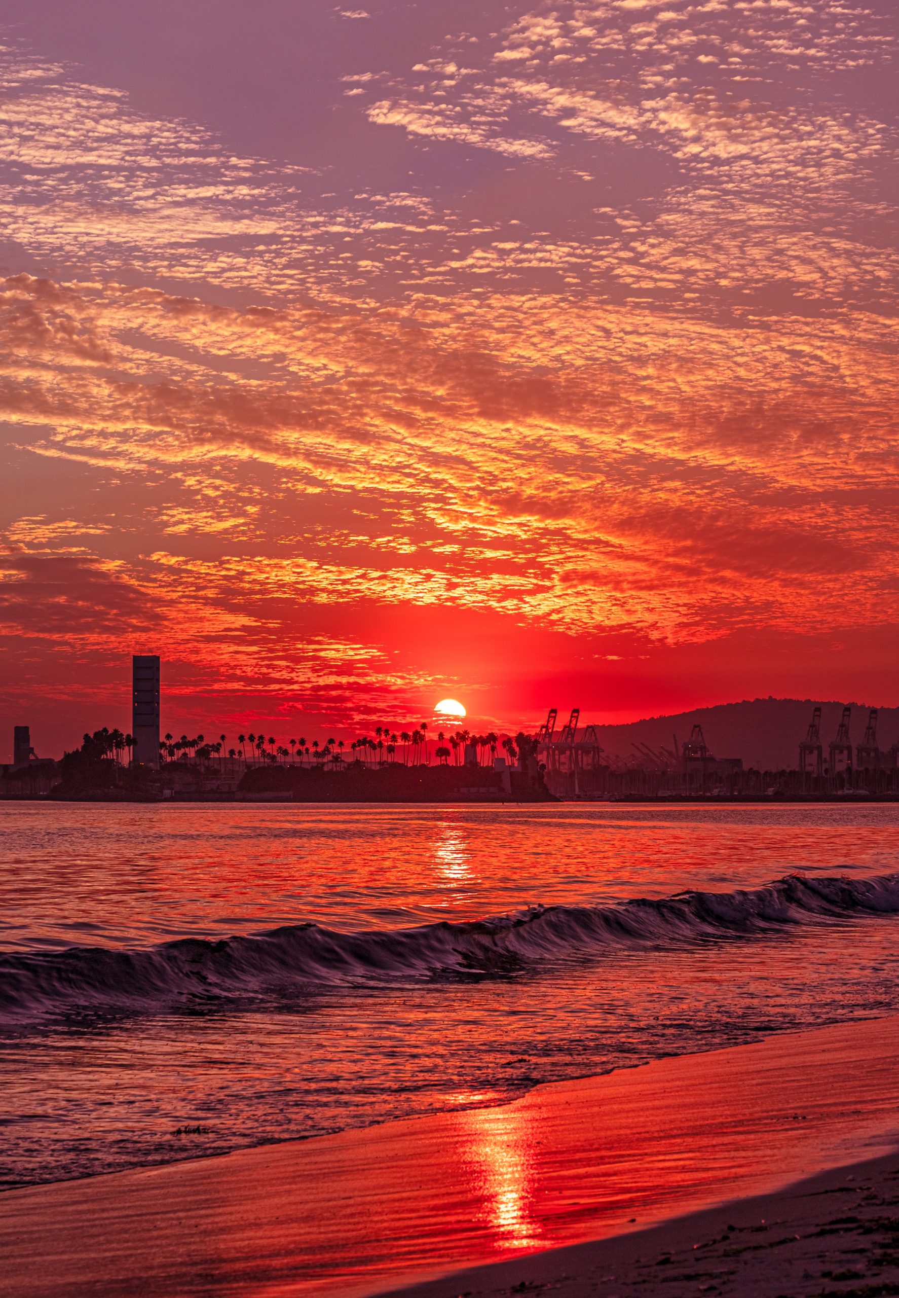 How To Get From Los Angeles Airport To Long Beach - All Possible Ways, cheapest way from Los Angeles airport to Long Beach, Los Angeles airport to Long Beach, Los Angeles shuttle Bus Airport, Los Angeles Airport Bus To Long Beach, Los Angeles to Long Beach