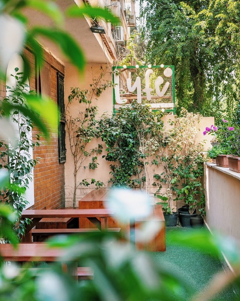 vegan restaurants in cairo, vegetarian restaurants in cairo, vegan in cairo, vegetarian in cairo, lyfe