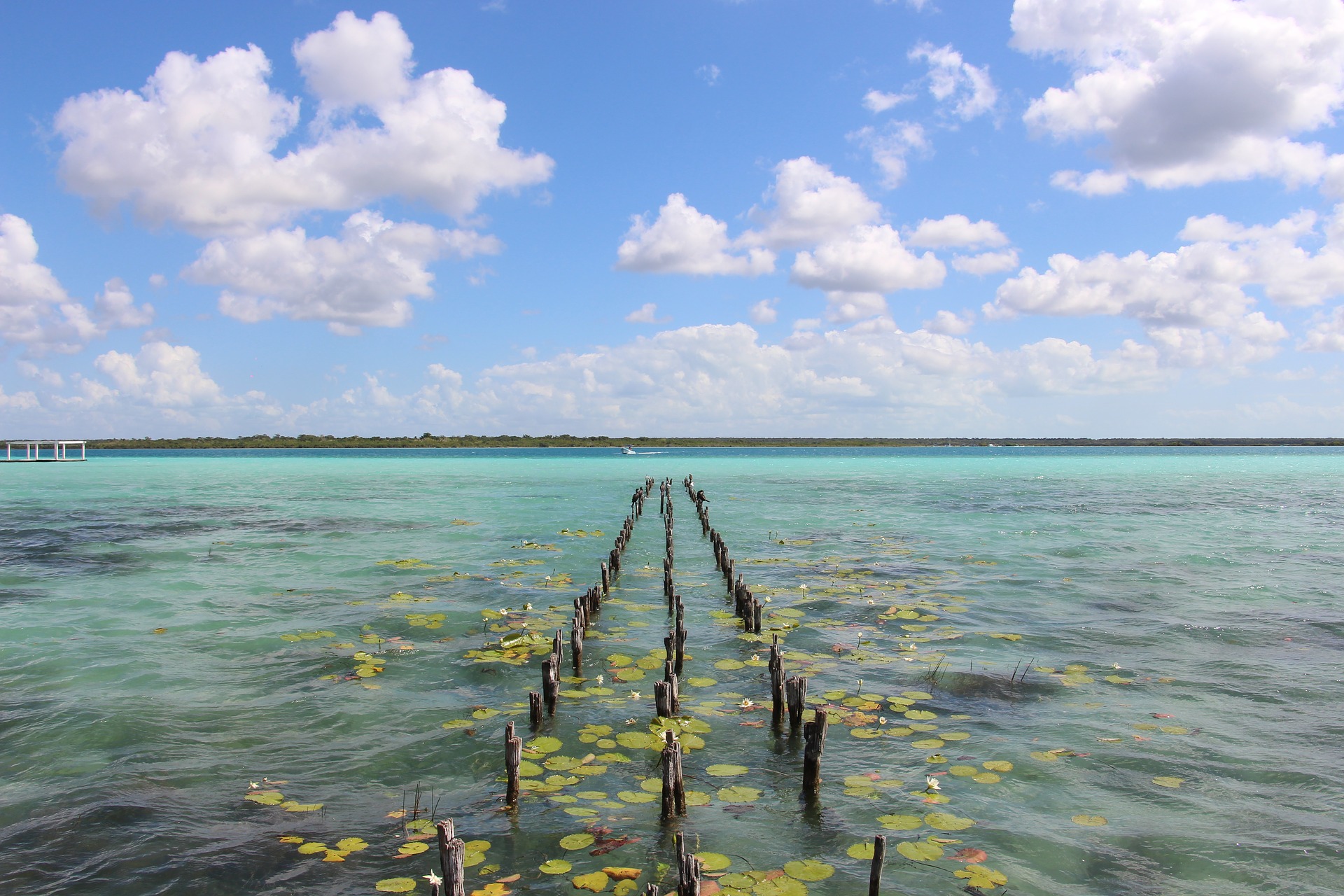 How To Get From Tulum to Bacalar - All Possible Ways, cheapest way from Tulum to Bacalar, Tulum to Bacalar, ado bus from Tulum to Bacalar, shared van from Tulum to Bacalar, Colectivo from Tulum to Bacalar, Uber from Tulum to Bacalar, taxi from Tulum to Bacalar, How To Get From Cancun Airport To Bacalar - All Possible Ways