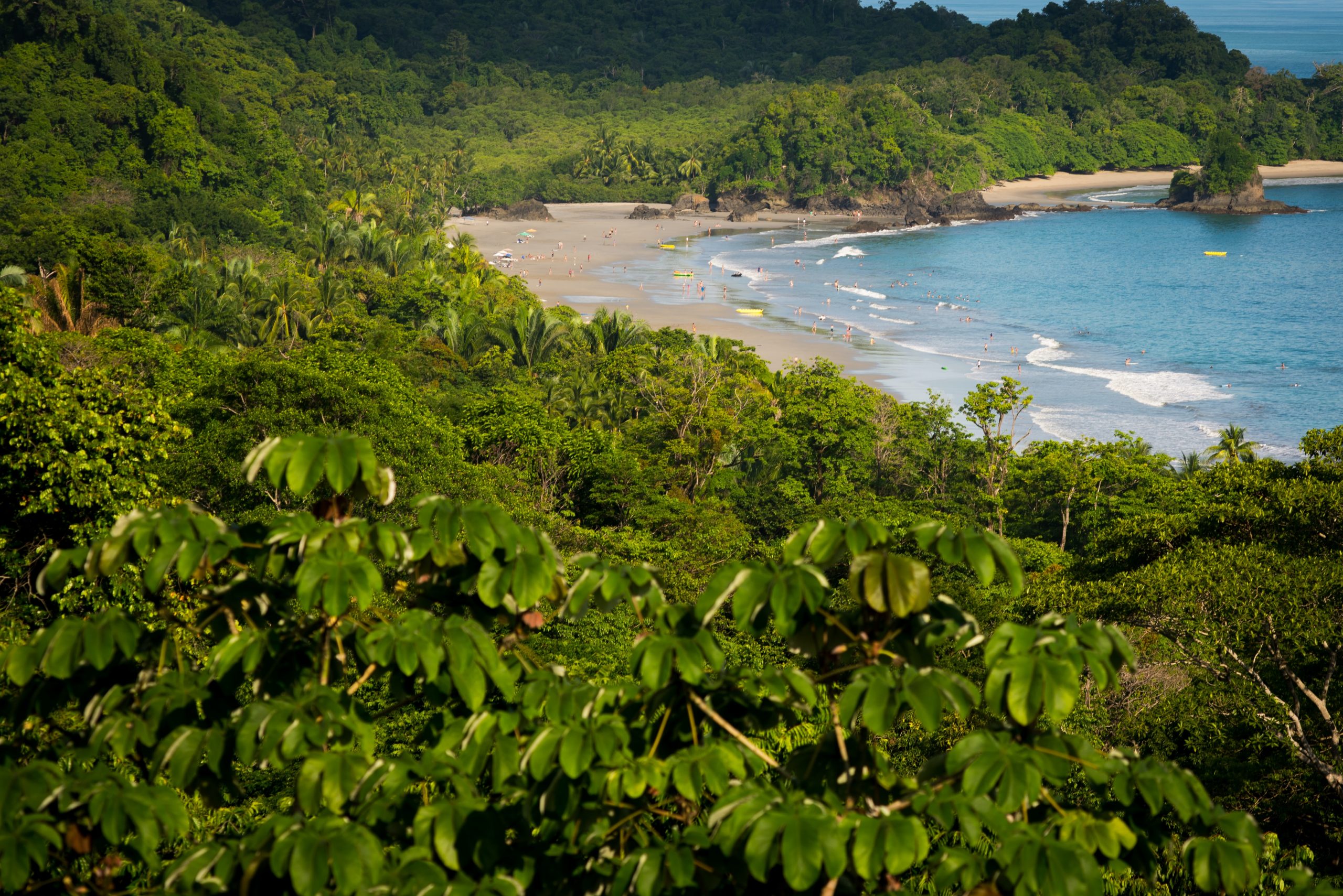 
How To Get From Santa Teresa To Manuel Antonio - All Possible Ways, cheapest way from Santa Teresa to Manuel Antonio, Santa Teresa to Manuel Antonio, Santa Teresa to Manuel Antonio bus, Puntarenas to Manuel Antonio, Puntarenas to Quepos bus, Quepos to Puntarenas bus, Manuel Antonio to Quepos bus, Quepos to Manuel Antonio, Ferry schedule Paquera to Puntarenas, Santa Teresa to Cobano, Cobano to Paquera 
