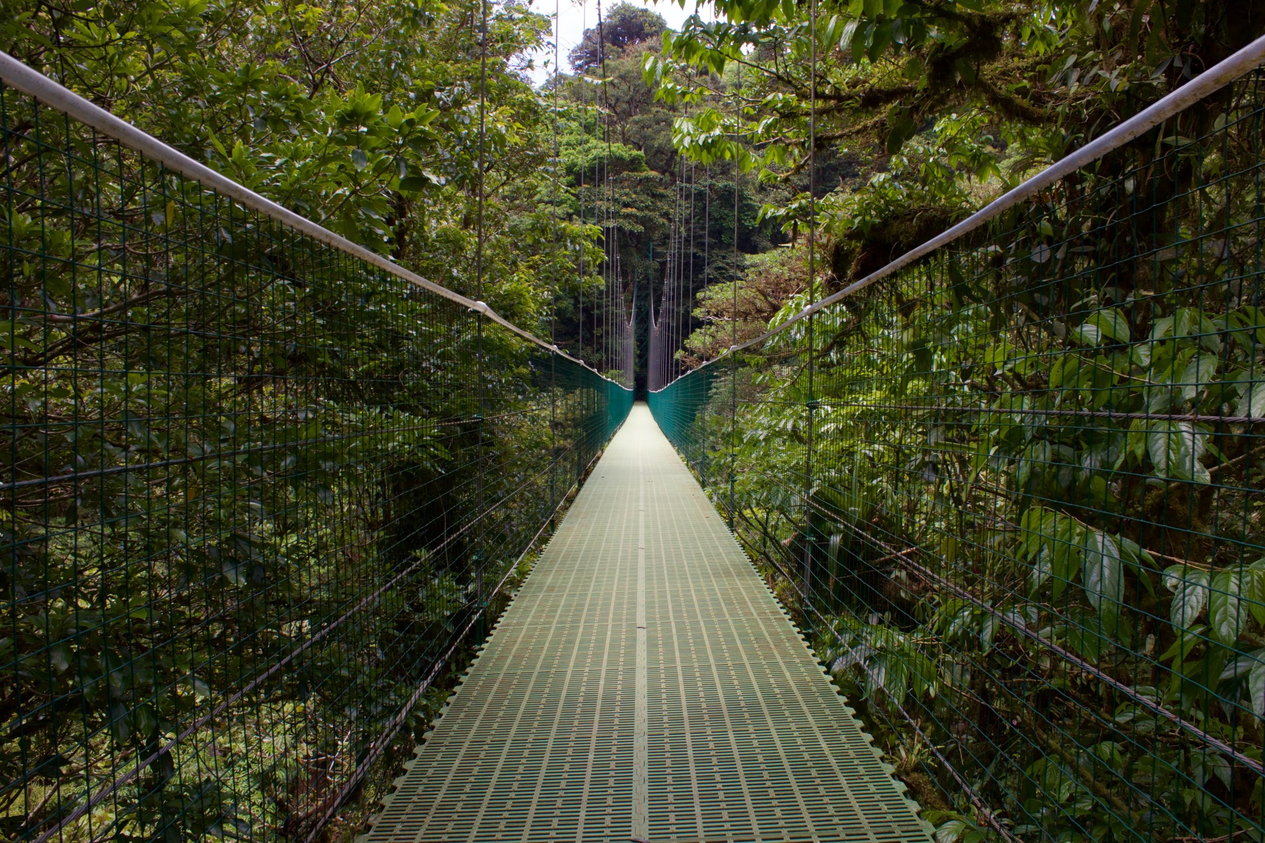 How To Get From Liberia Airport to Monteverde - All Possible Ways, cheapest way from Liberia Airport to Monteverde, Liberia Airport to Monteverde, Liberia Costa Rica Airport to Monteverde, Liberia to Monteverde, Liberia costa rica to Monteverde, Liberia to La Fortuna bus, Liberia to Monteverde costa rica